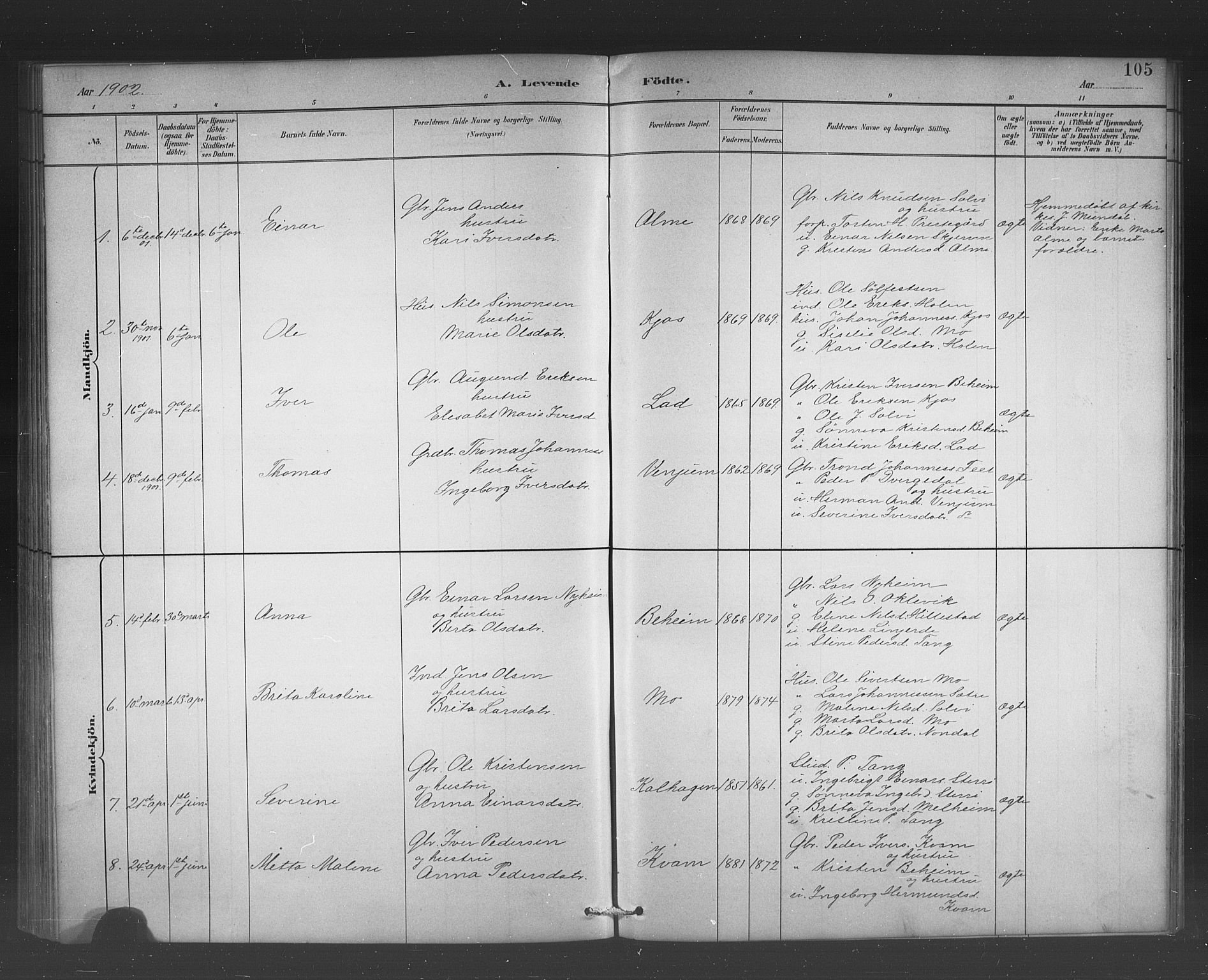 Hafslo sokneprestembete, AV/SAB-A-80301/H/Hab/Habb/L0001: Parish register (copy) no. B 1, 1882-1908, p. 105