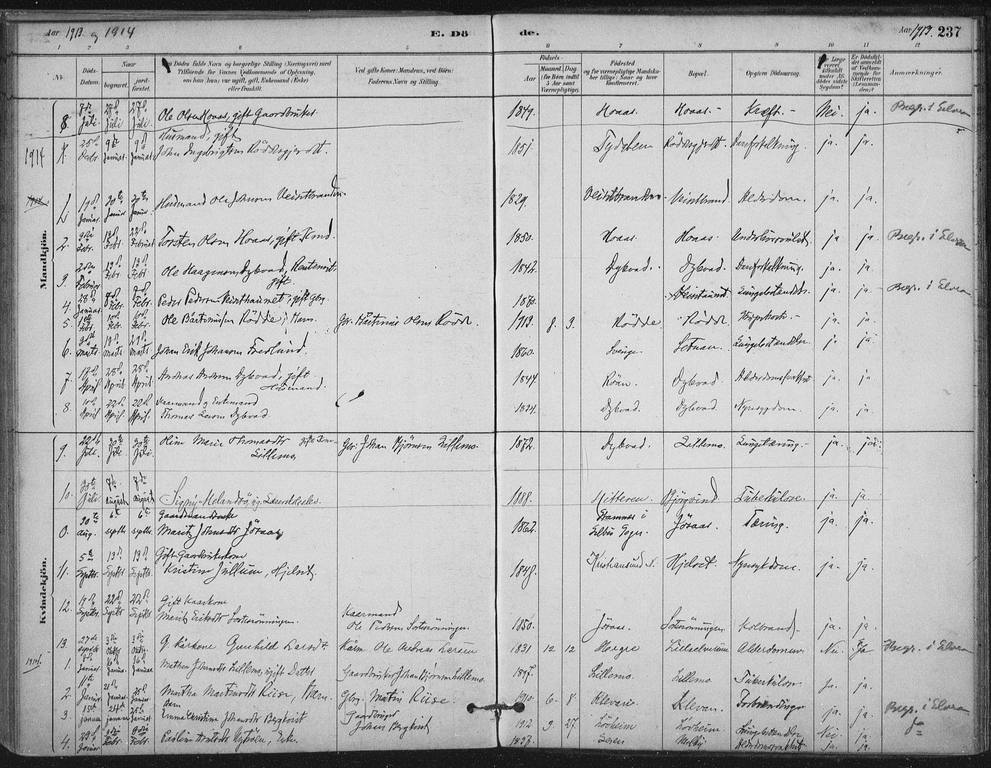Ministerialprotokoller, klokkerbøker og fødselsregistre - Nord-Trøndelag, SAT/A-1458/710/L0095: Parish register (official) no. 710A01, 1880-1914, p. 237