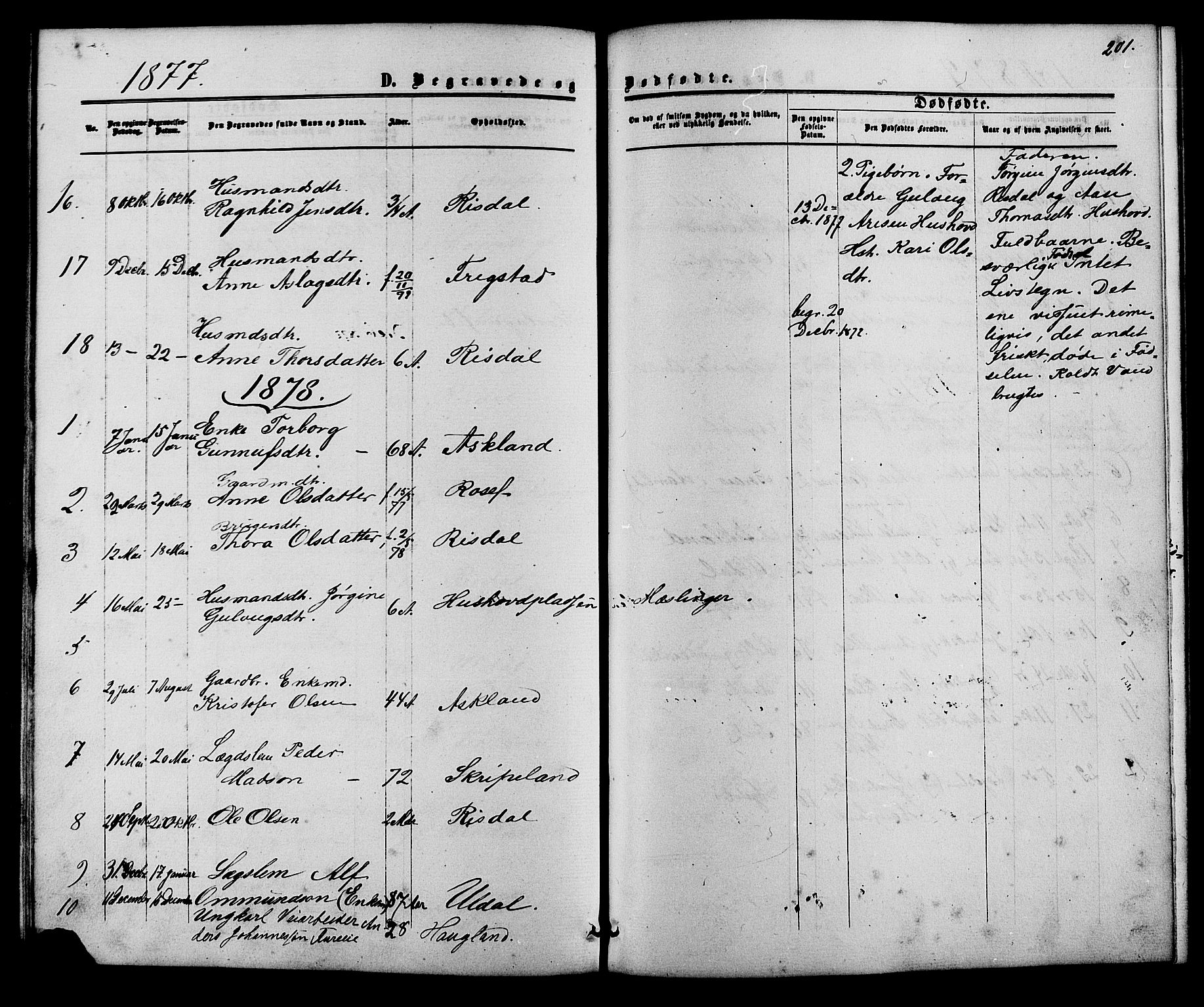 Herefoss sokneprestkontor, AV/SAK-1111-0019/F/Fb/Fbc/L0002: Parish register (copy) no. B 2, 1867-1886, p. 201