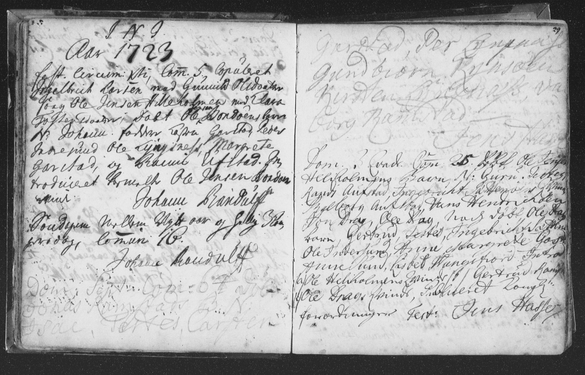Ministerialprotokoller, klokkerbøker og fødselsregistre - Nord-Trøndelag, AV/SAT-A-1458/786/L0685: Parish register (official) no. 786A01, 1710-1798, p. 29