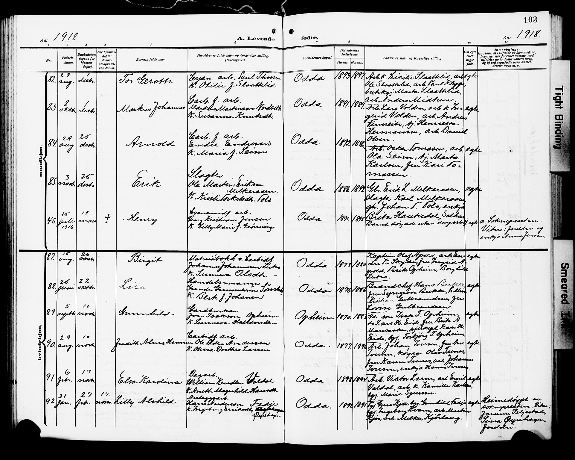 Odda Sokneprestembete, SAB/A-77201/H/Hab: Parish register (copy) no. A 8, 1910-1923, p. 103
