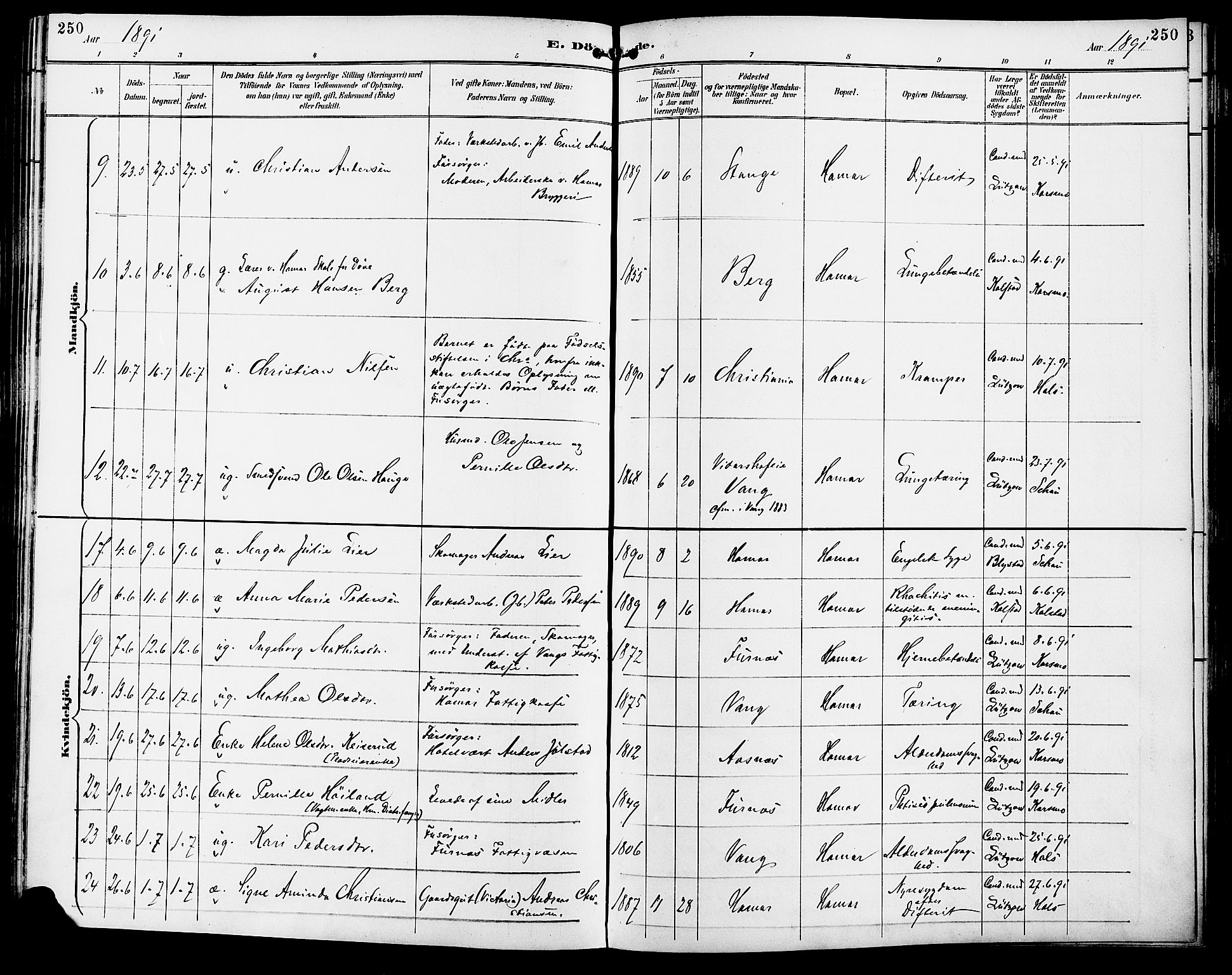 Vang prestekontor, Hedmark, AV/SAH-PREST-008/H/Ha/Haa/L0017: Parish register (official) no. 17, 1890-1899, p. 250