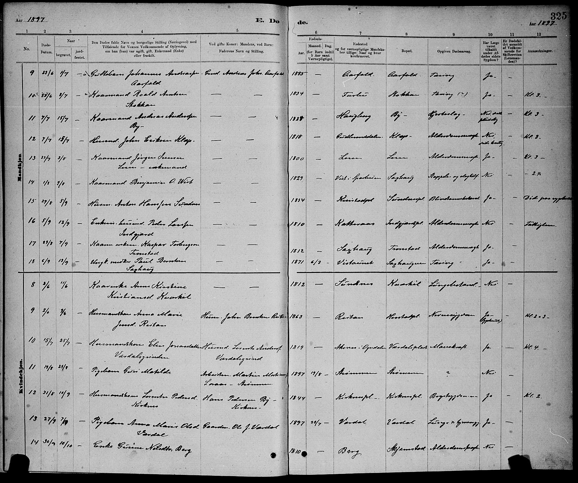 Ministerialprotokoller, klokkerbøker og fødselsregistre - Nord-Trøndelag, AV/SAT-A-1458/730/L0301: Parish register (copy) no. 730C04, 1880-1897, p. 325