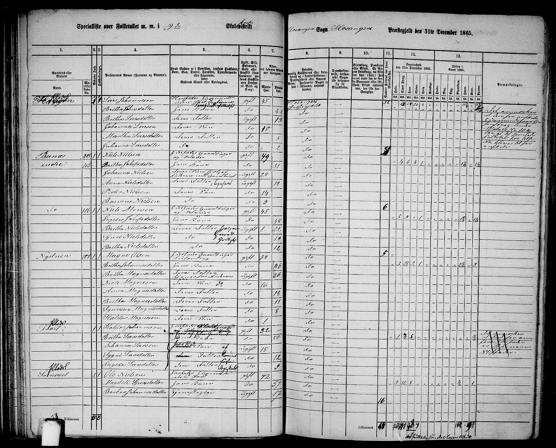 RA, 1865 census for Hosanger, 1865, p. 62