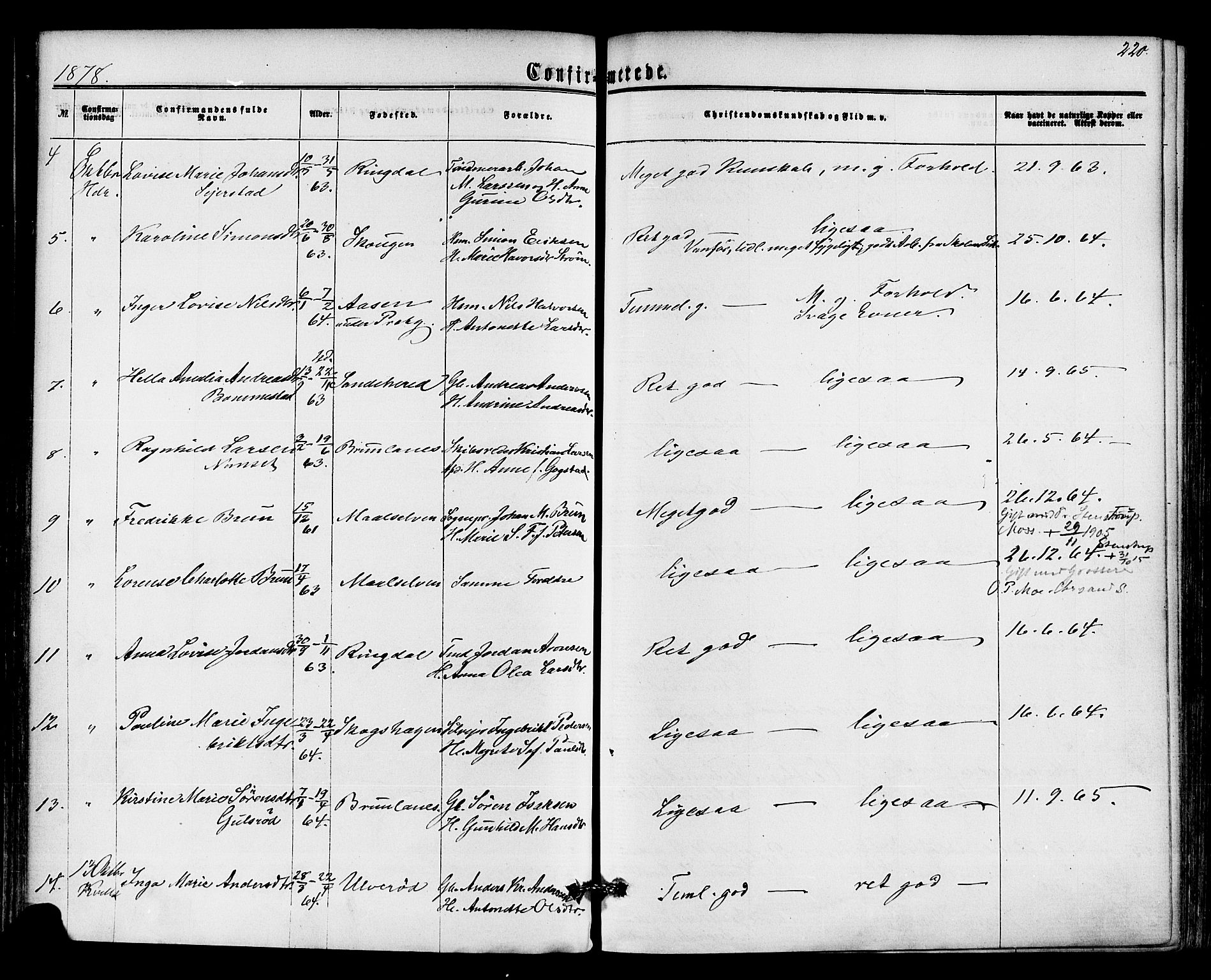 Hedrum kirkebøker, AV/SAKO-A-344/F/Fa/L0008: Parish register (official) no. I 8, 1869-1880, p. 220