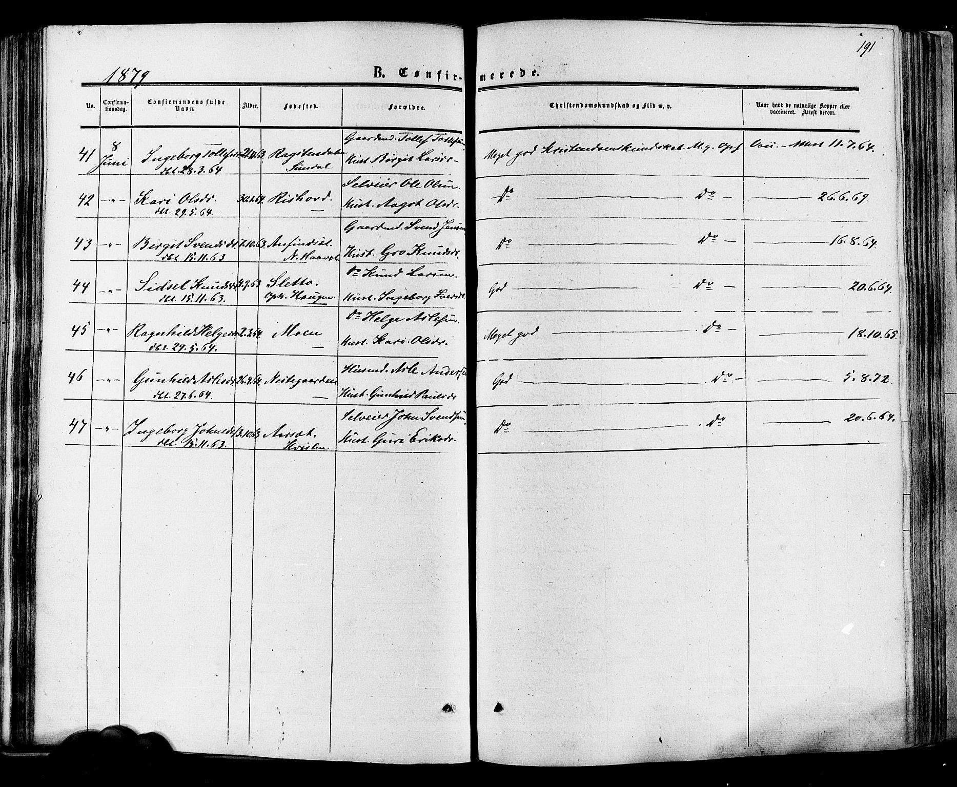 Hol kirkebøker, SAKO/A-227/F/Fa/L0002: Parish register (official) no. I 2, 1870-1886, p. 191