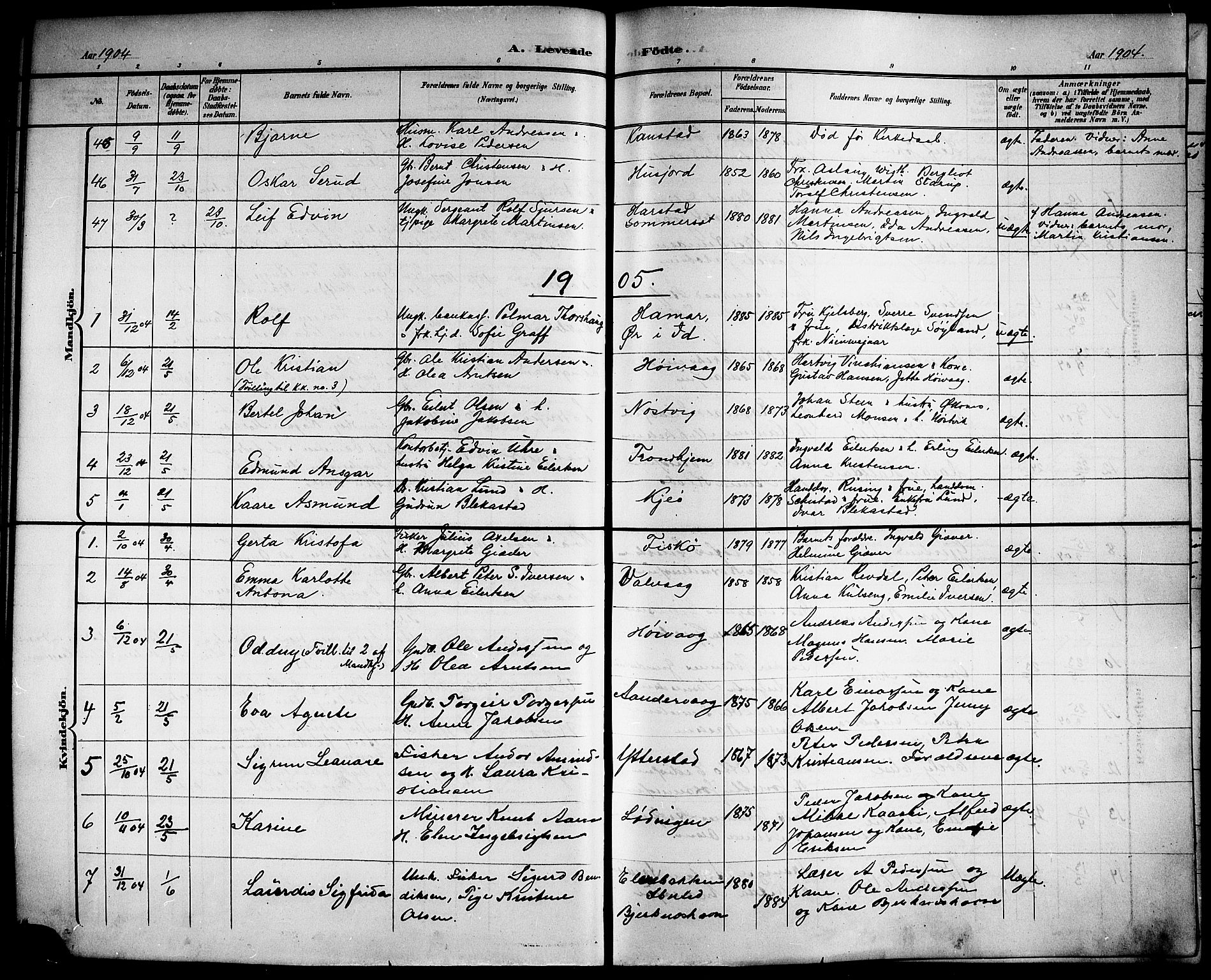 Ministerialprotokoller, klokkerbøker og fødselsregistre - Nordland, AV/SAT-A-1459/872/L1048: Parish register (copy) no. 872C04, 1898-1919