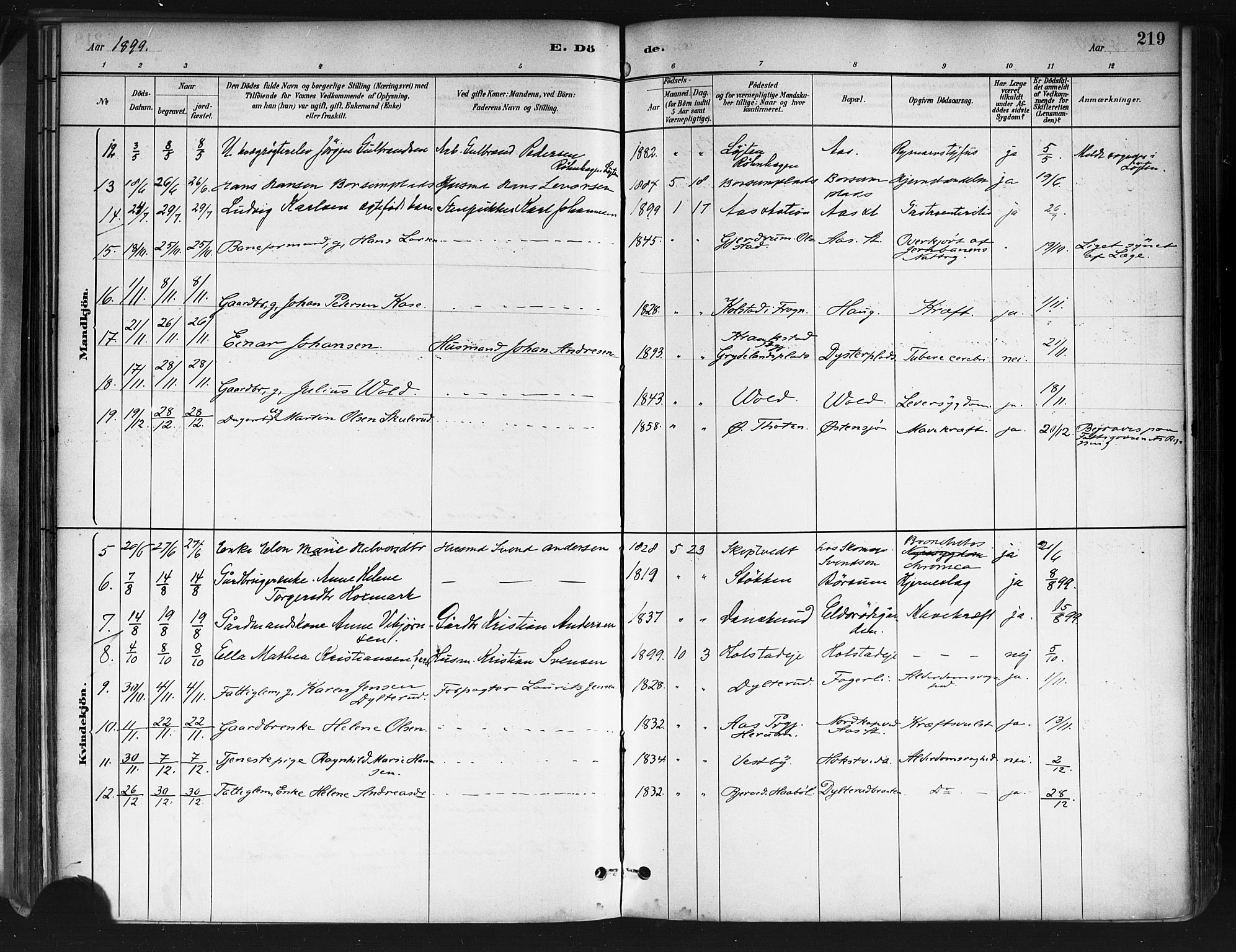 Ås prestekontor Kirkebøker, AV/SAO-A-10894/F/Fa/L0009: Parish register (official) no. I 9, 1881-1900, p. 219