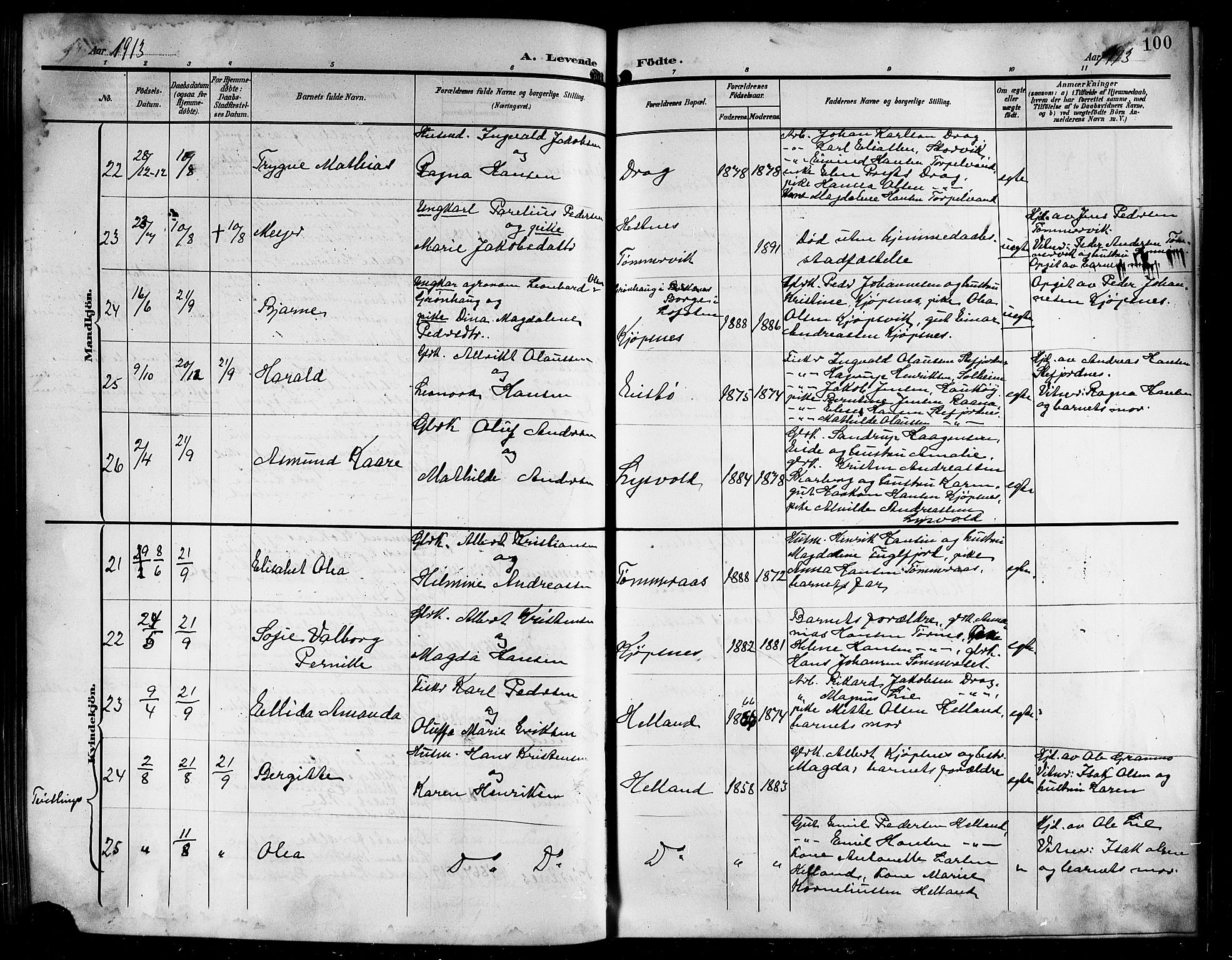 Ministerialprotokoller, klokkerbøker og fødselsregistre - Nordland, AV/SAT-A-1459/861/L0877: Parish register (copy) no. 861C03, 1903-1919, p. 100