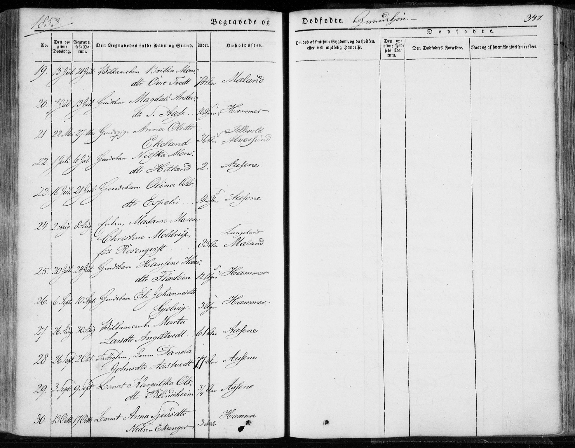 Hamre sokneprestembete, AV/SAB-A-75501/H/Ha/Haa/Haaa/L0013: Parish register (official) no. A 13, 1846-1857, p. 347