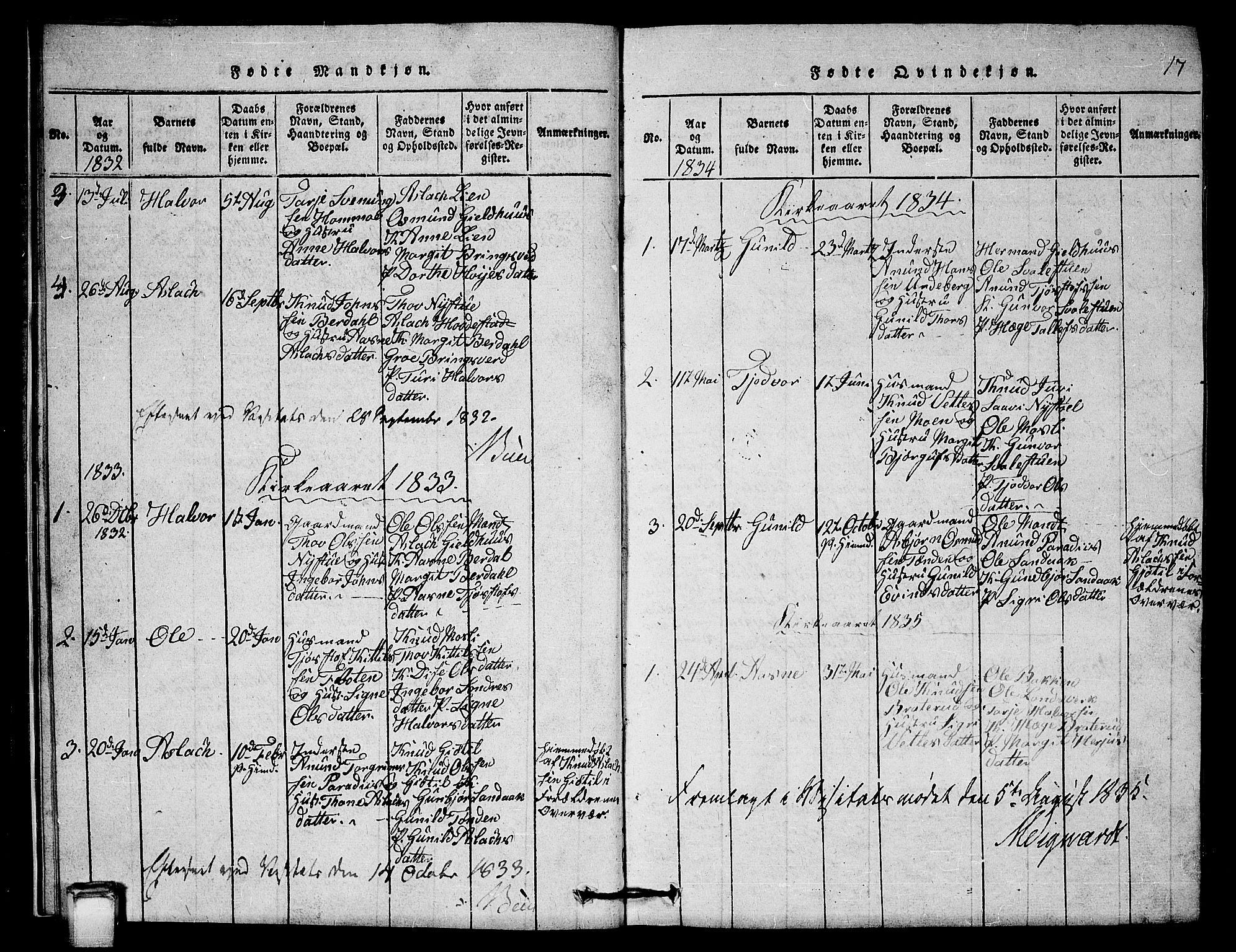 Vinje kirkebøker, AV/SAKO-A-312/G/Gb/L0001: Parish register (copy) no. II 1, 1814-1843, p. 17