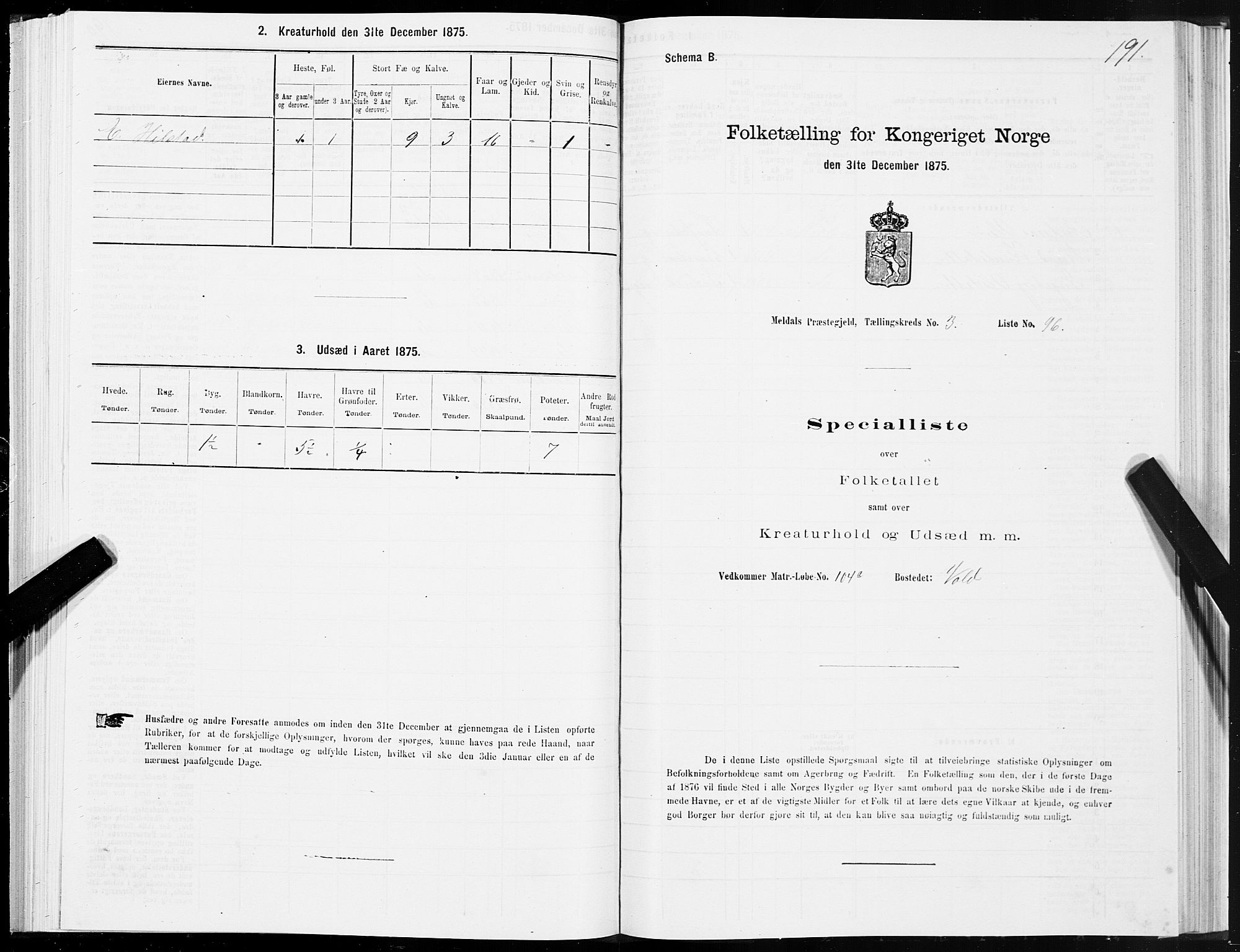 SAT, 1875 census for 1636P Meldal, 1875, p. 2191