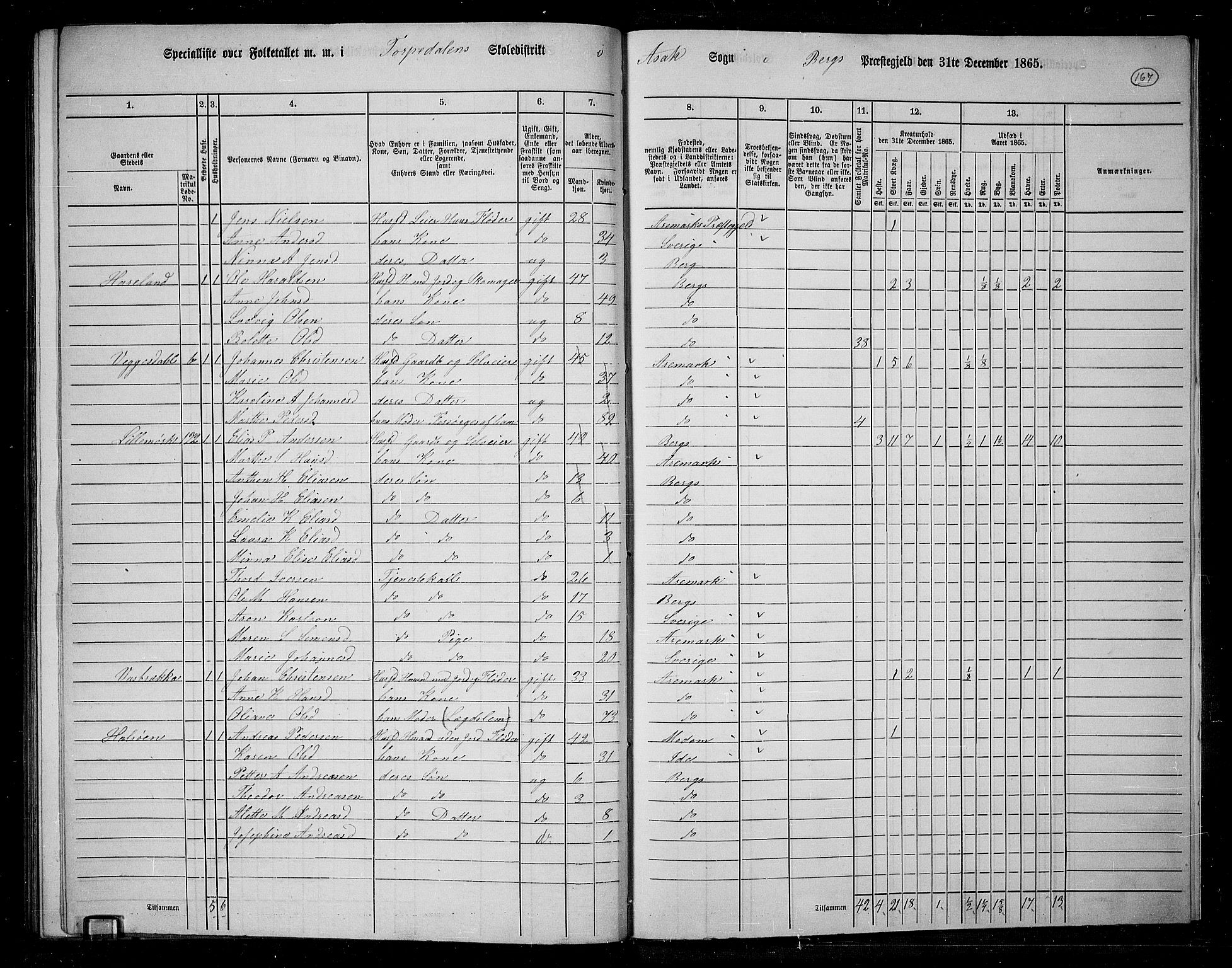 RA, 1865 census for Berg, 1865, p. 145