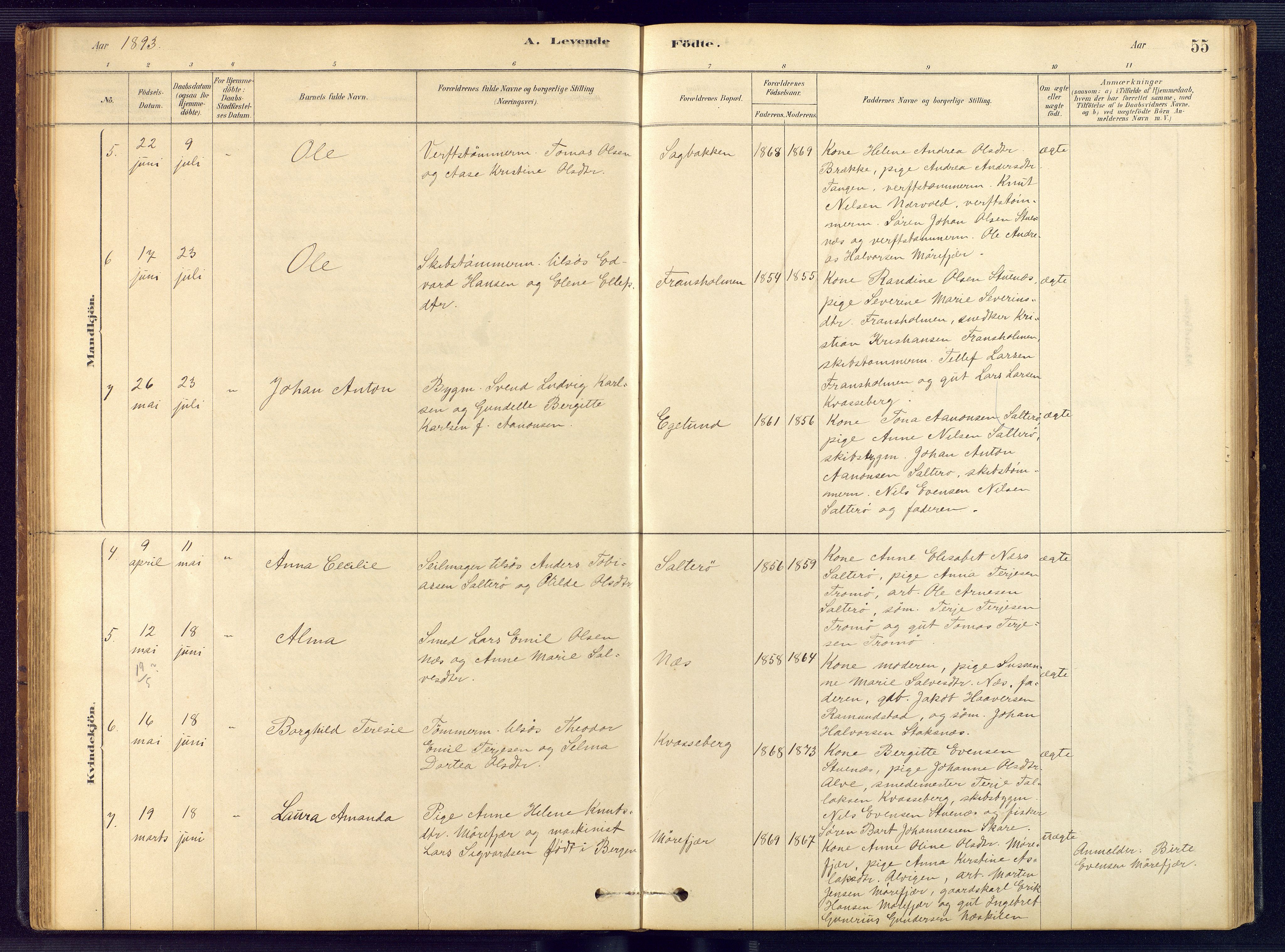 Austre Moland sokneprestkontor, AV/SAK-1111-0001/F/Fb/Fbb/L0001: Parish register (copy) no. B 1, 1878-1904, p. 55