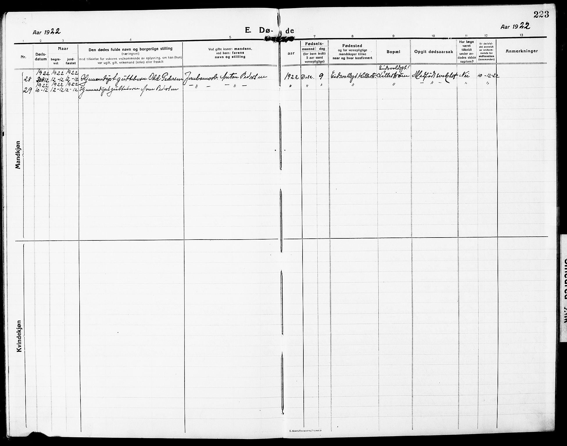Skedsmo prestekontor Kirkebøker, SAO/A-10033a/G/Gc/L0002: Parish register (copy) no. III 2, 1917-1931, p. 223