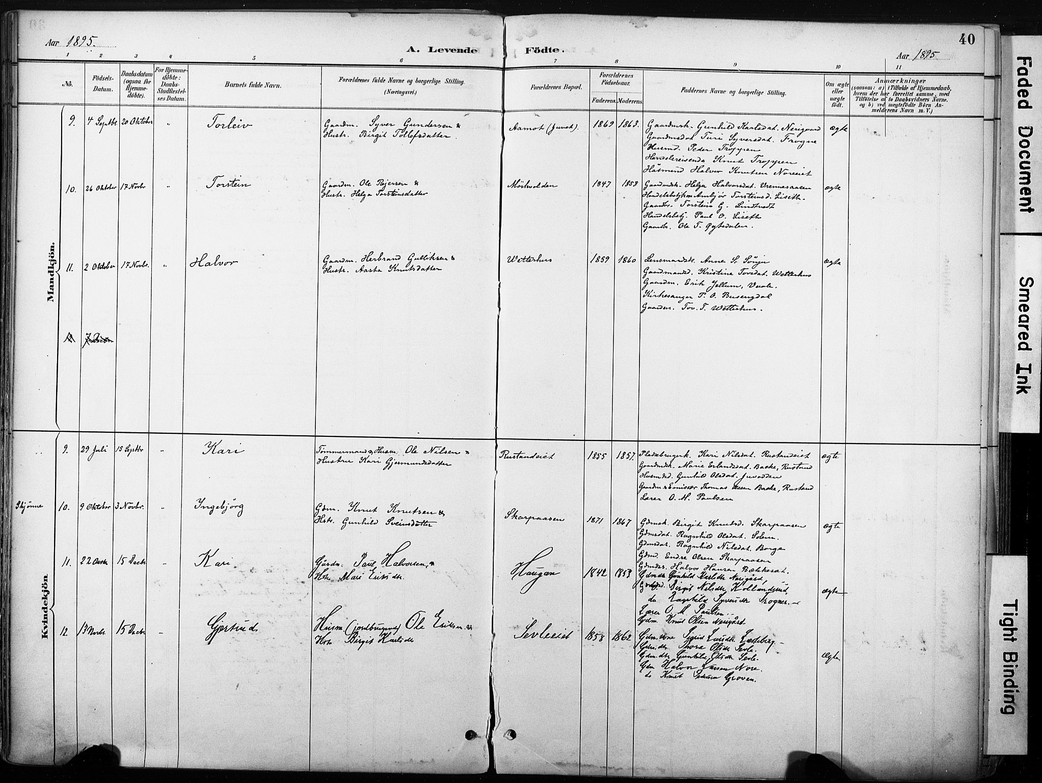 Nore kirkebøker, SAKO/A-238/F/Fb/L0002: Parish register (official) no. II 2, 1886-1906, p. 40
