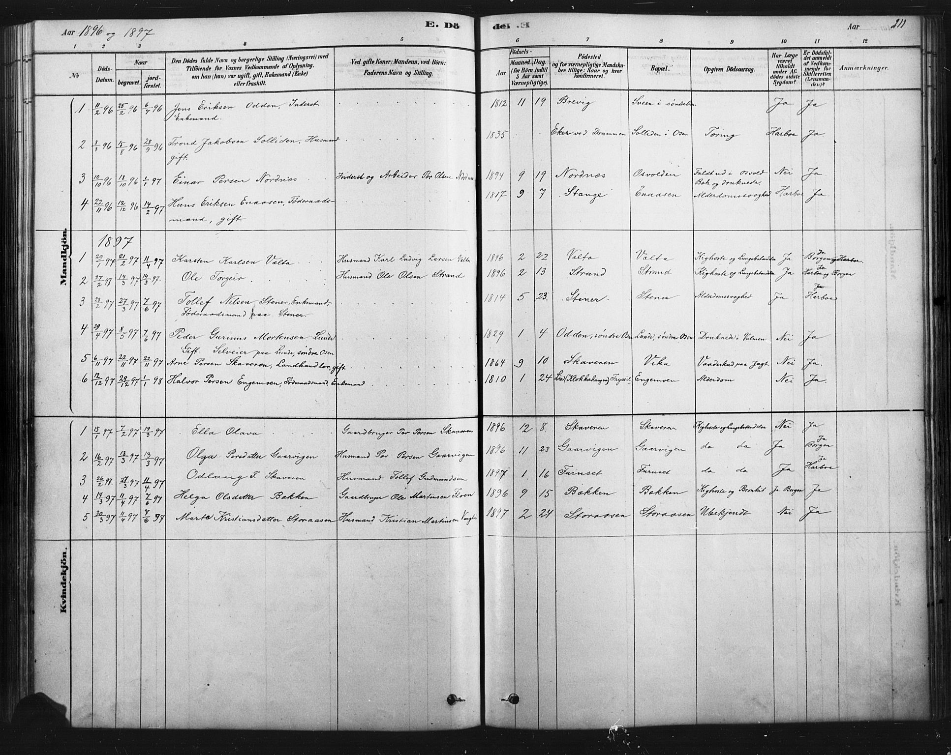 Åmot prestekontor, Hedmark, AV/SAH-PREST-056/H/Ha/Haa/L0012: Parish register (official) no. 12, 1878-1901, p. 211