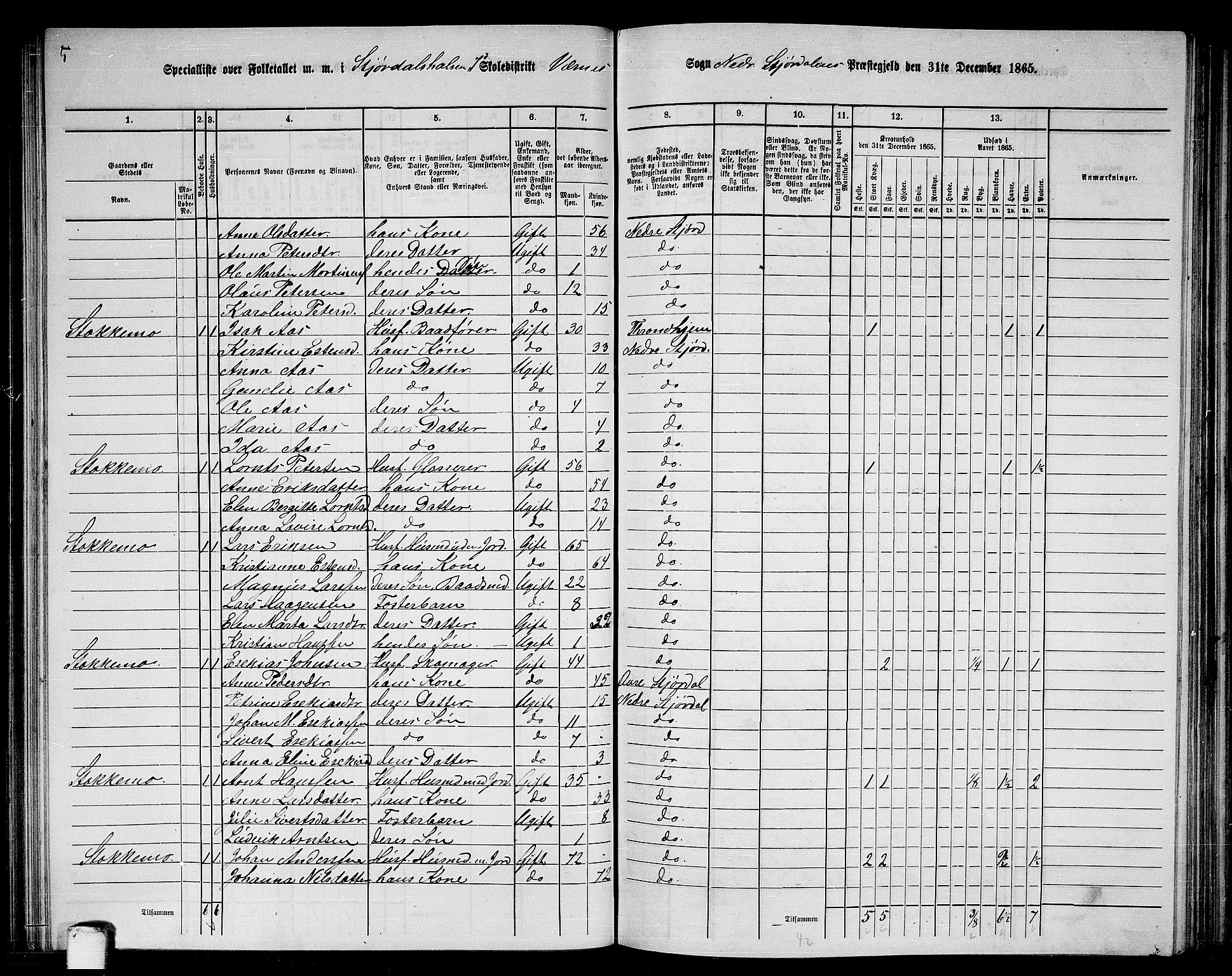 RA, 1865 census for Nedre Stjørdal, 1865, p. 143