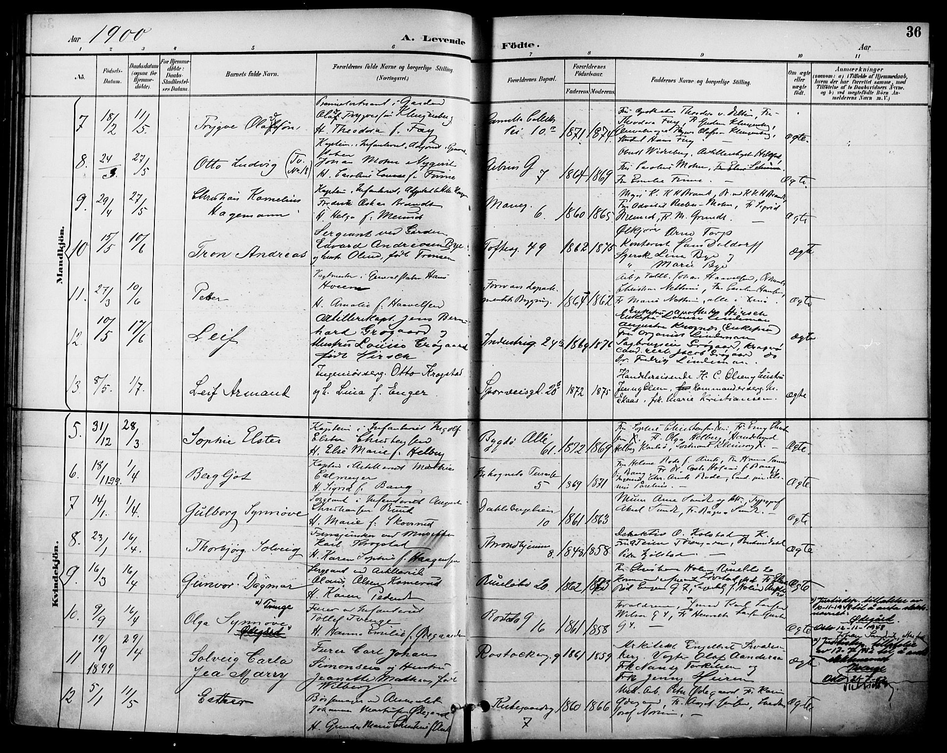 Garnisonsmenigheten Kirkebøker, SAO/A-10846/F/Fa/L0013: Parish register (official) no. 13, 1894-1904, p. 36