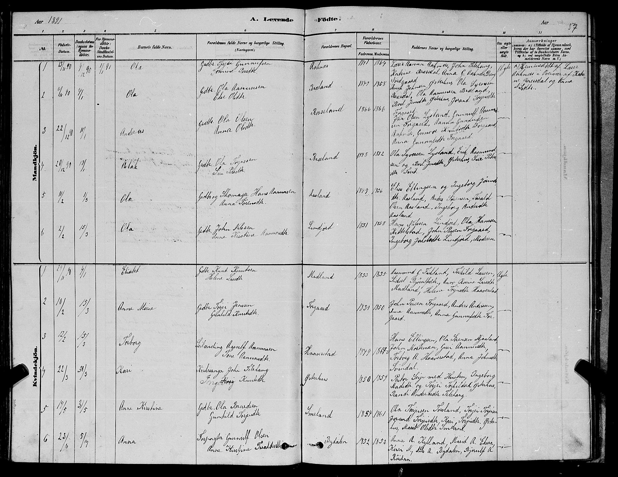 Åseral sokneprestkontor, SAK/1111-0051/F/Fb/L0002: Parish register (copy) no. B 2, 1878-1899, p. 57