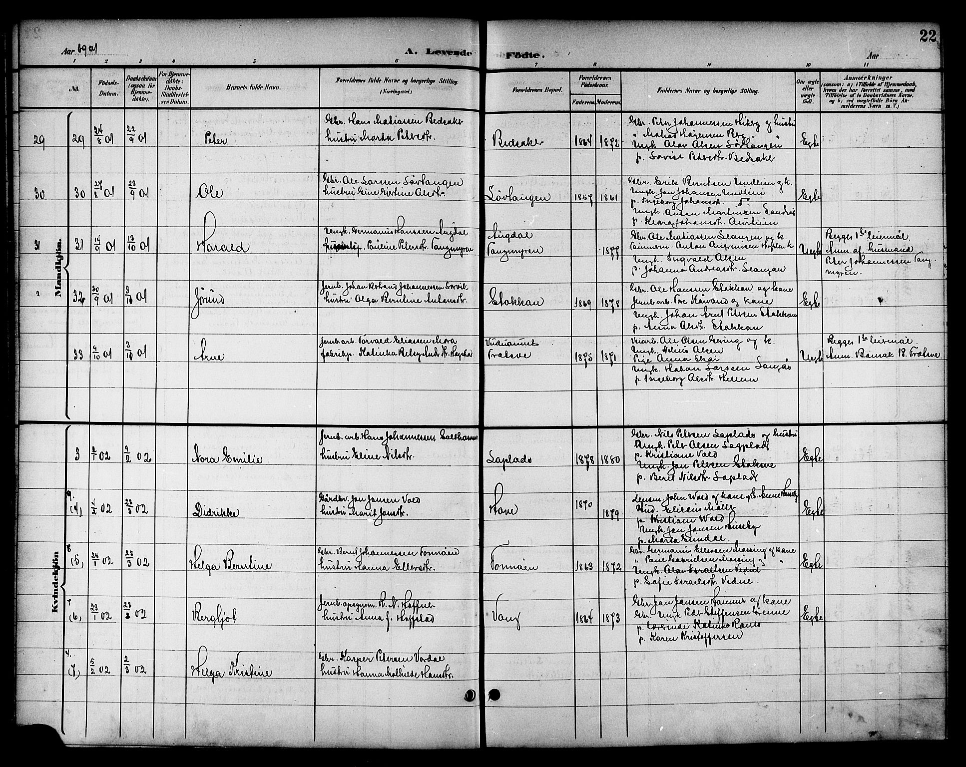 Ministerialprotokoller, klokkerbøker og fødselsregistre - Nord-Trøndelag, AV/SAT-A-1458/714/L0135: Parish register (copy) no. 714C04, 1899-1918, p. 22