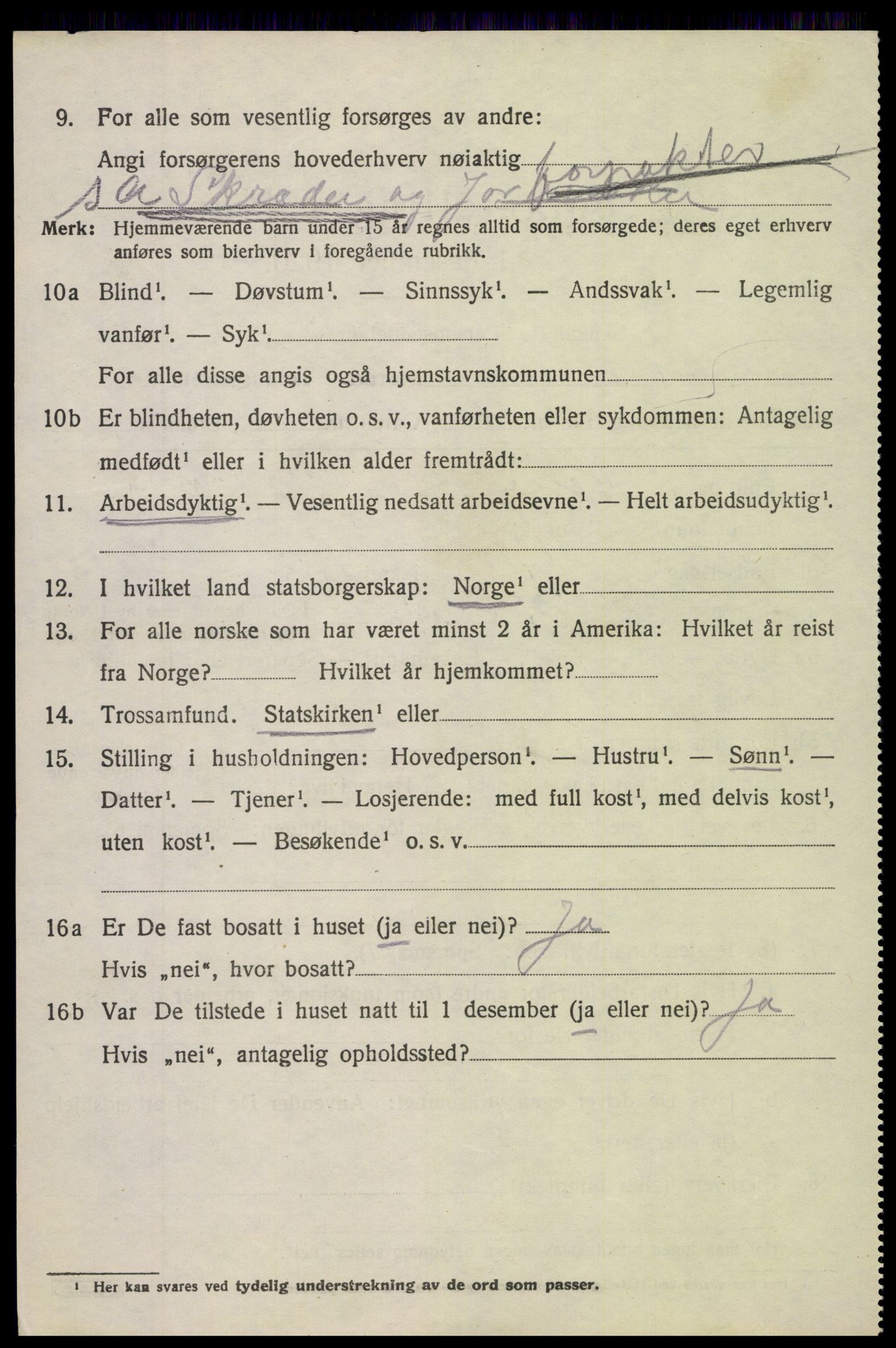 SAH, 1920 census for Nordre Land, 1920, p. 3703