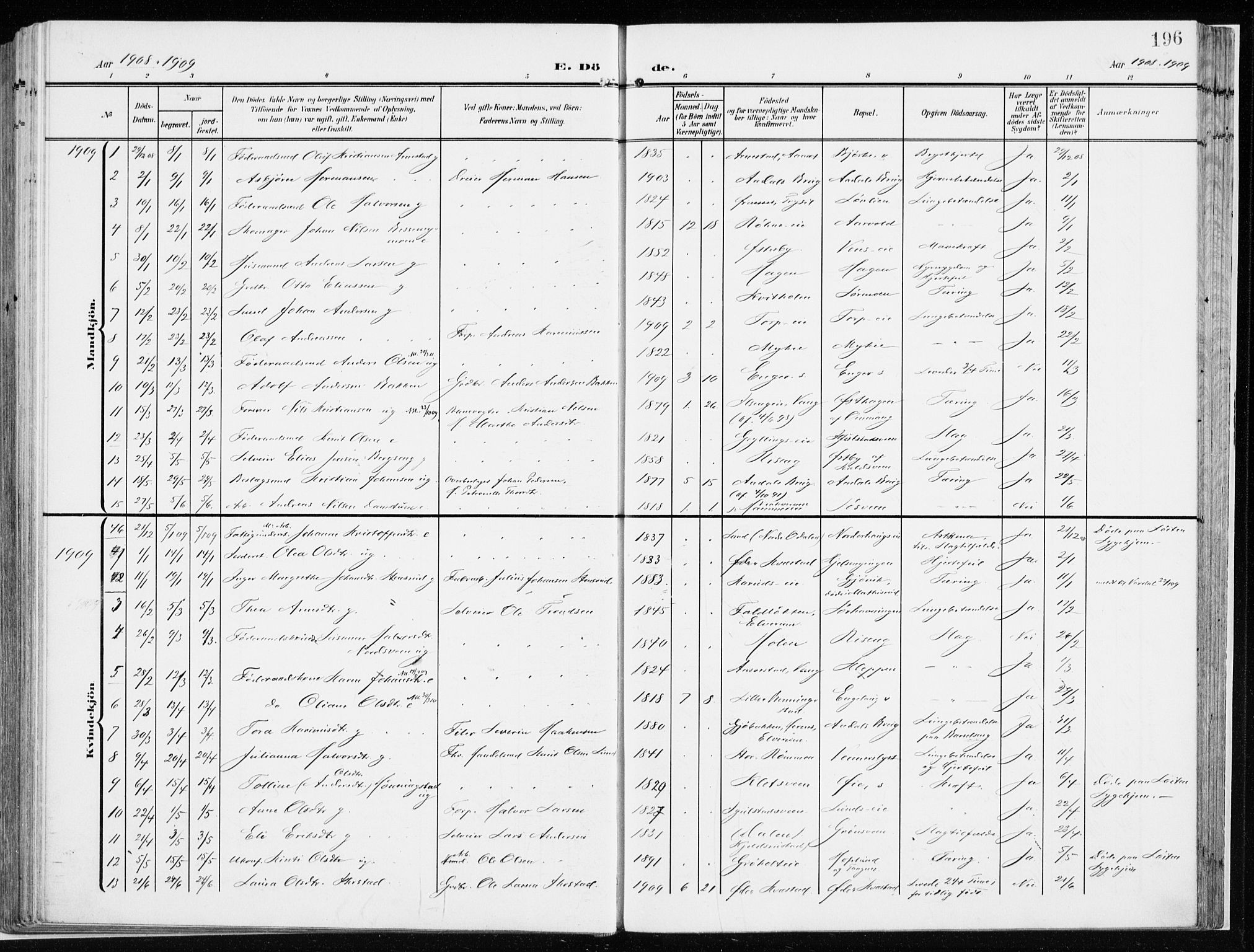 Løten prestekontor, SAH/PREST-022/K/Ka/L0011: Parish register (official) no. 11, 1908-1917, p. 196