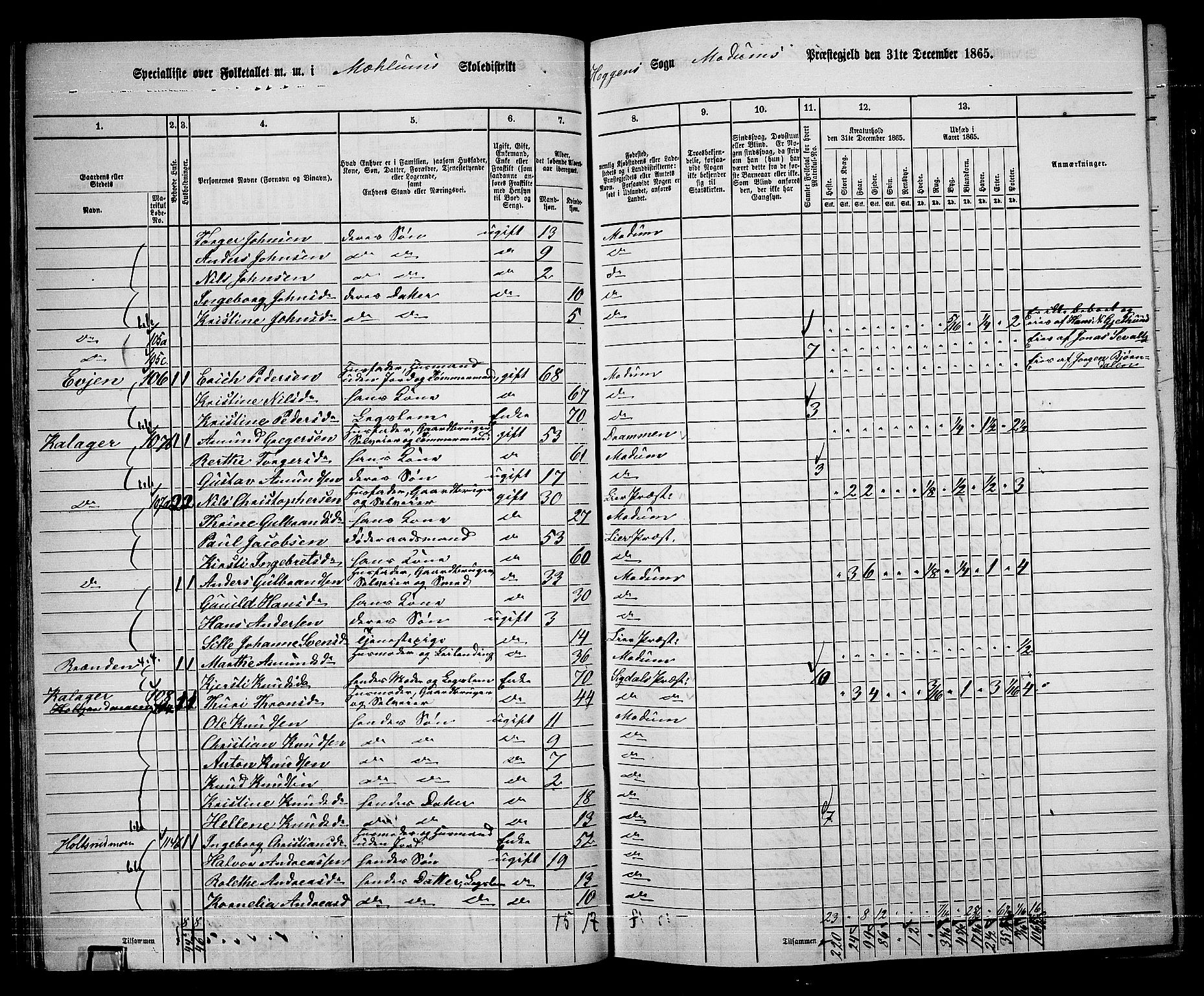 RA, 1865 census for Modum, 1865, p. 73