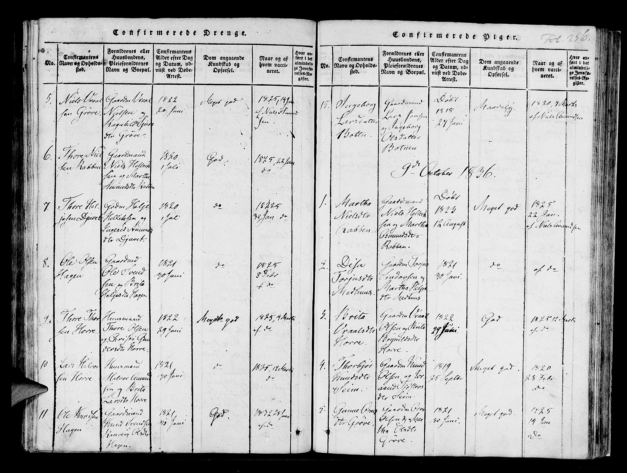 Røldal sokneprestembete, AV/SAB-A-100247: Parish register (official) no. A 2, 1817-1856, p. 256