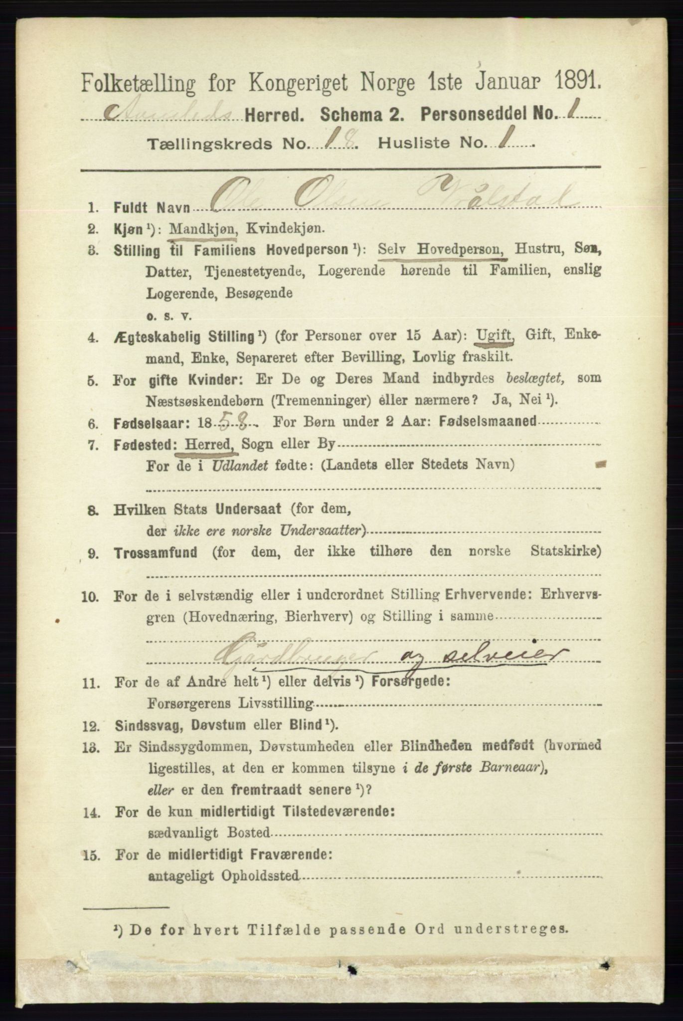 RA, 1891 census for 0929 Åmli, 1891, p. 3002