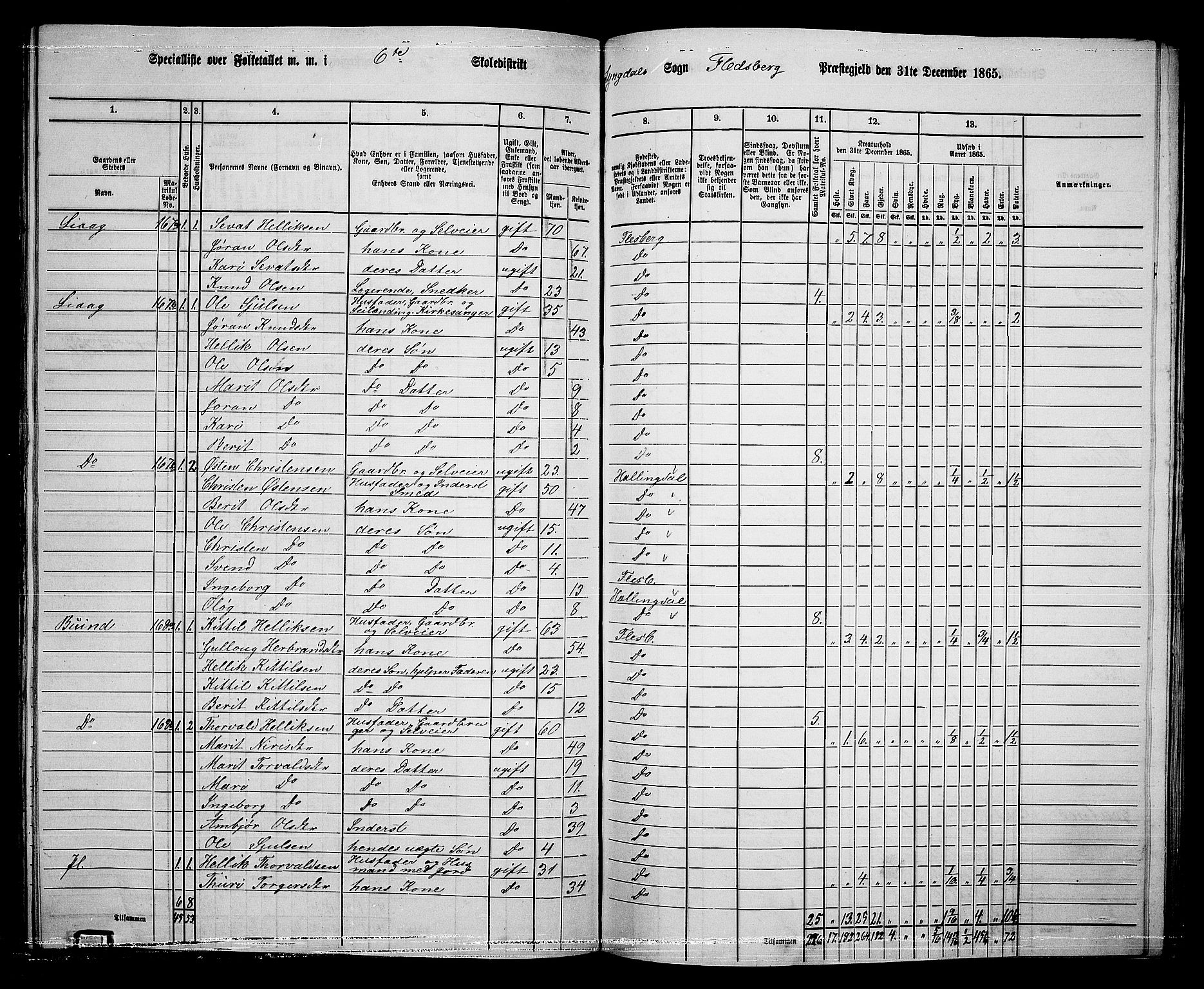 RA, 1865 census for Flesberg, 1865, p. 115