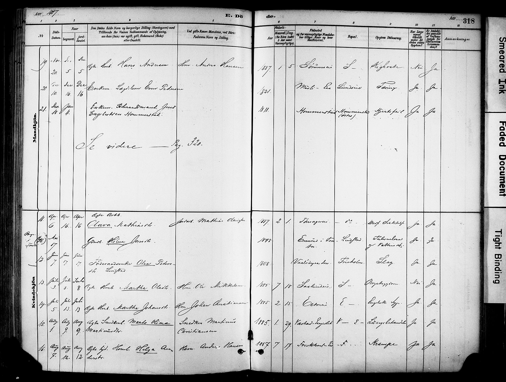 Stange prestekontor, AV/SAH-PREST-002/K/L0017: Parish register (official) no. 17, 1880-1893, p. 318