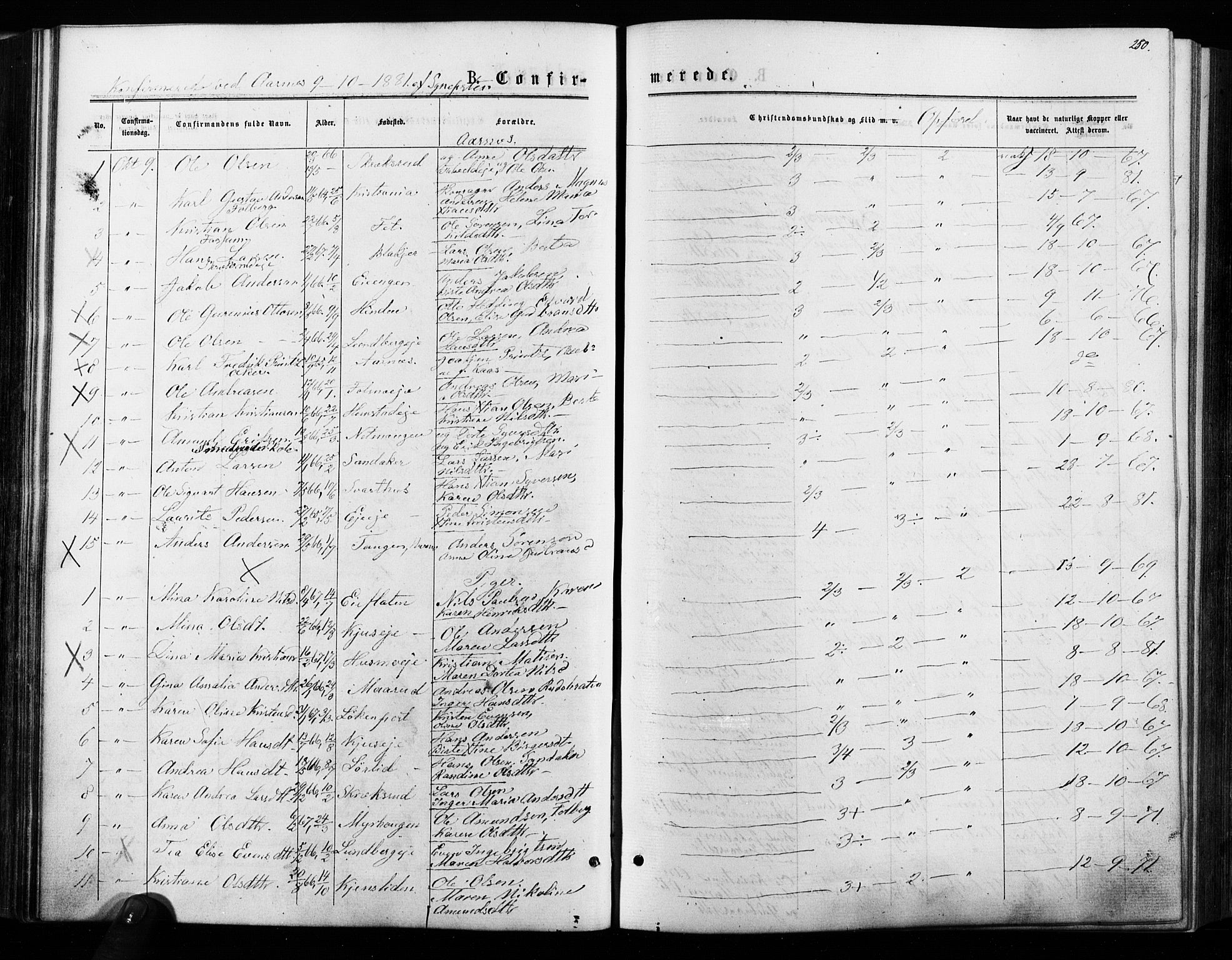 Nes prestekontor Kirkebøker, SAO/A-10410/F/Fa/L0009: Parish register (official) no. I 9, 1875-1882, p. 250