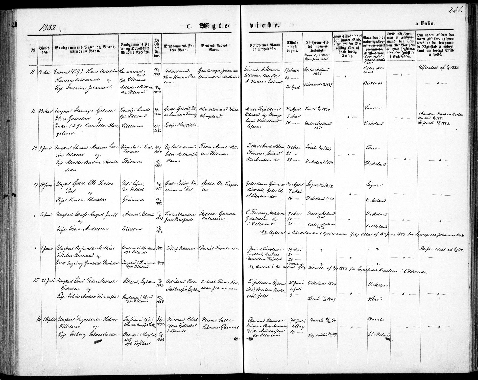 Vestre Moland sokneprestkontor, AV/SAK-1111-0046/F/Fb/Fbb/L0005: Parish register (copy) no. B 5, 1872-1883, p. 221