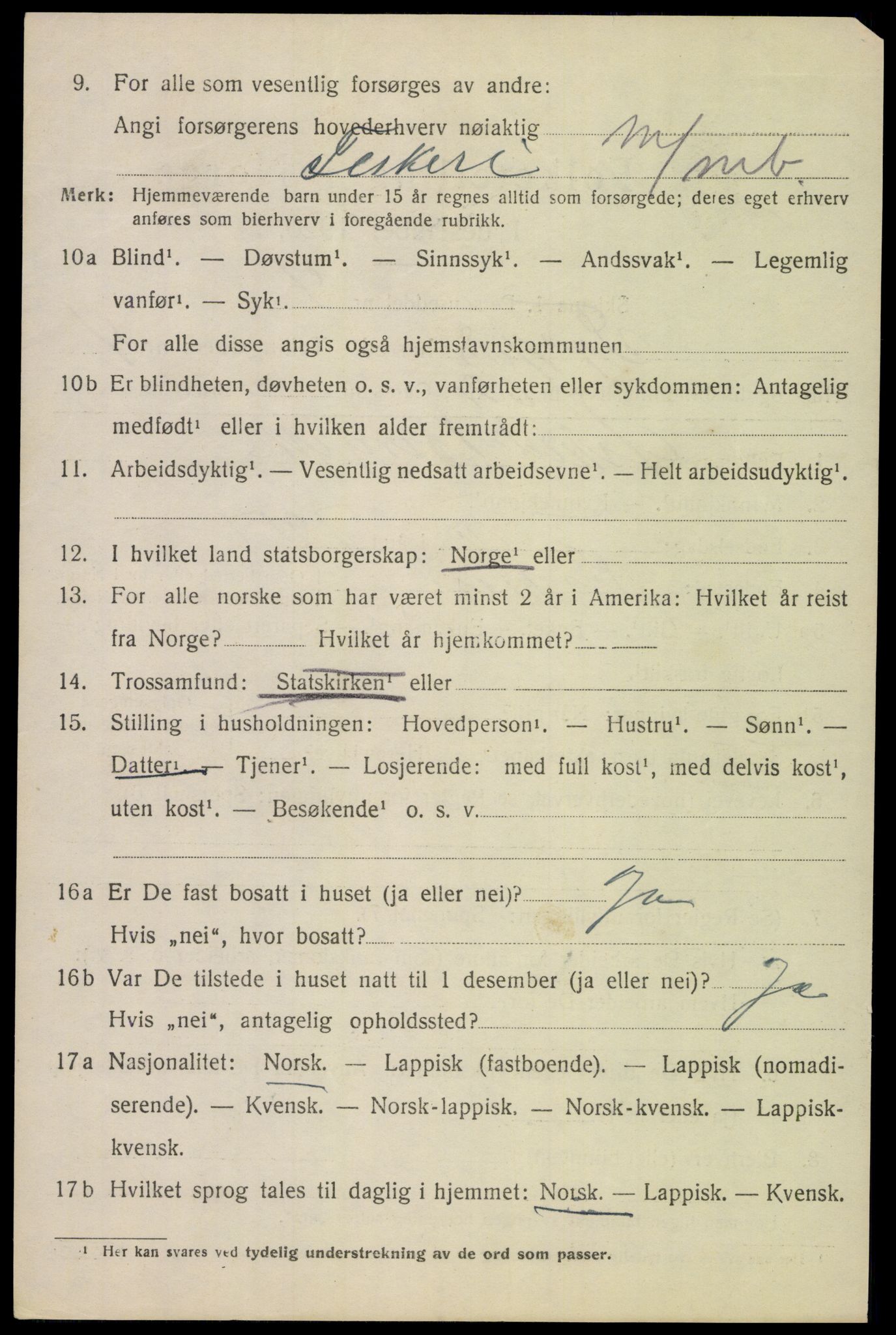 SAT, 1920 census for Tysfjord, 1920, p. 4040