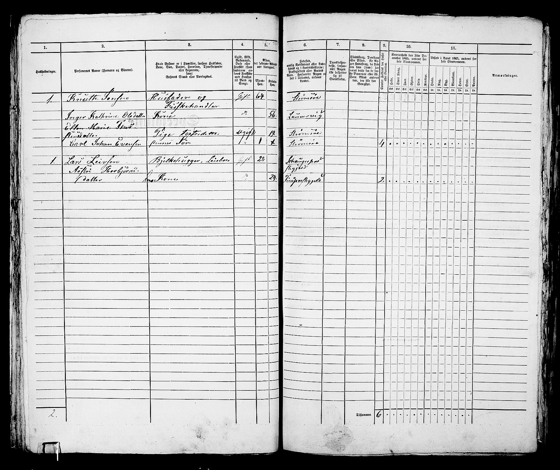 RA, 1865 census for Strømsø in Drammen, 1865, p. 54