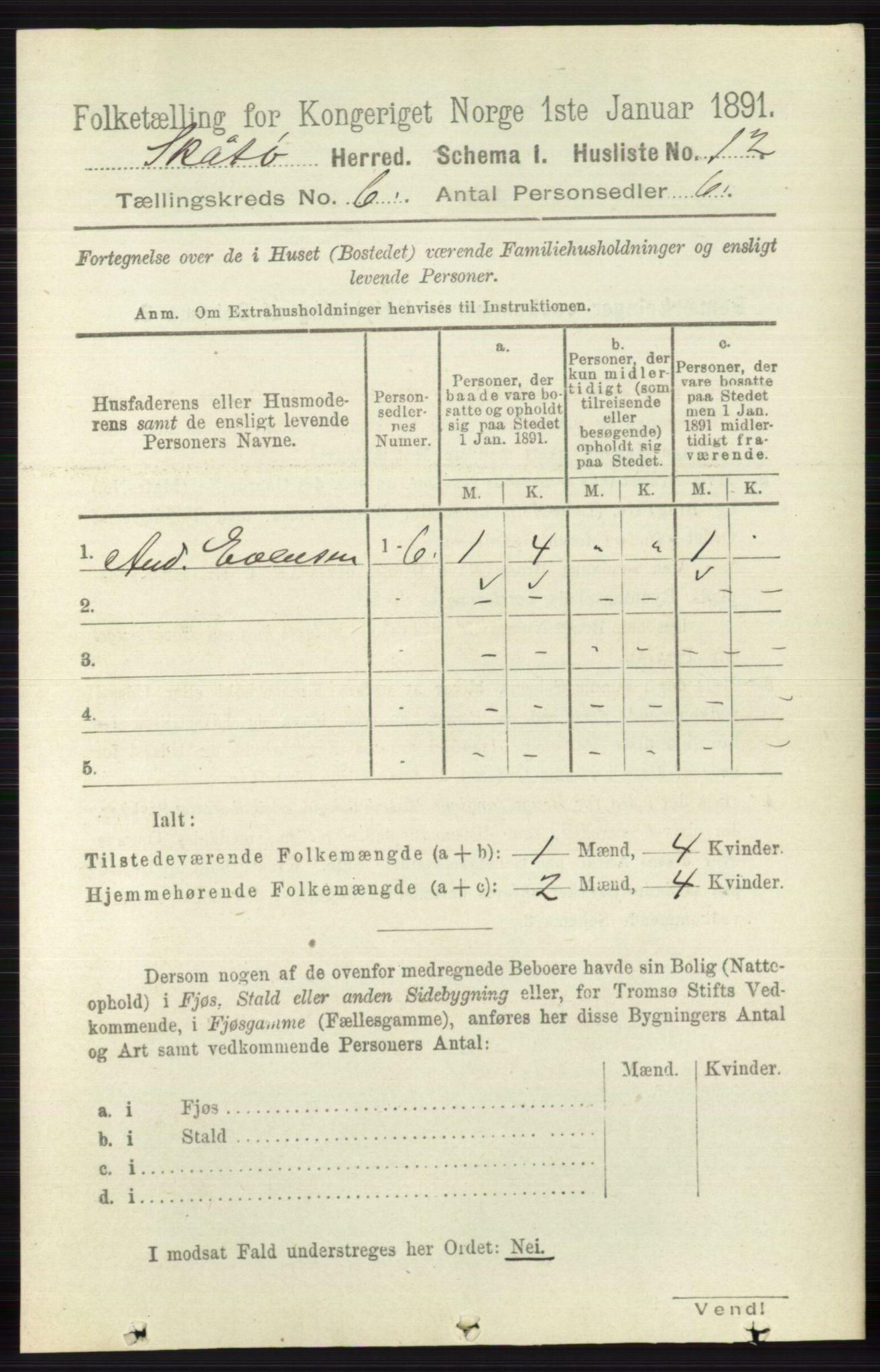 RA, 1891 census for 0815 Skåtøy, 1891, p. 2891