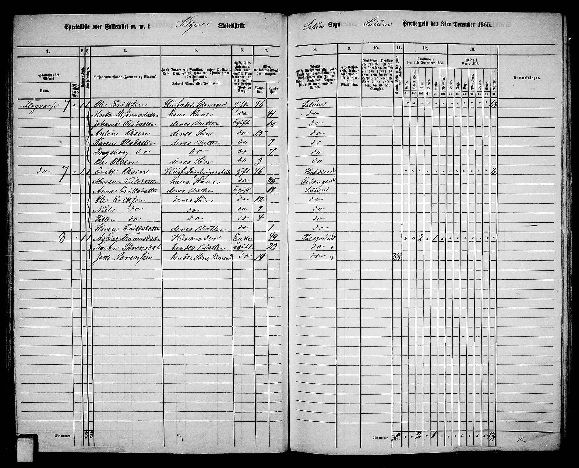 RA, 1865 census for Solum, 1865, p. 114