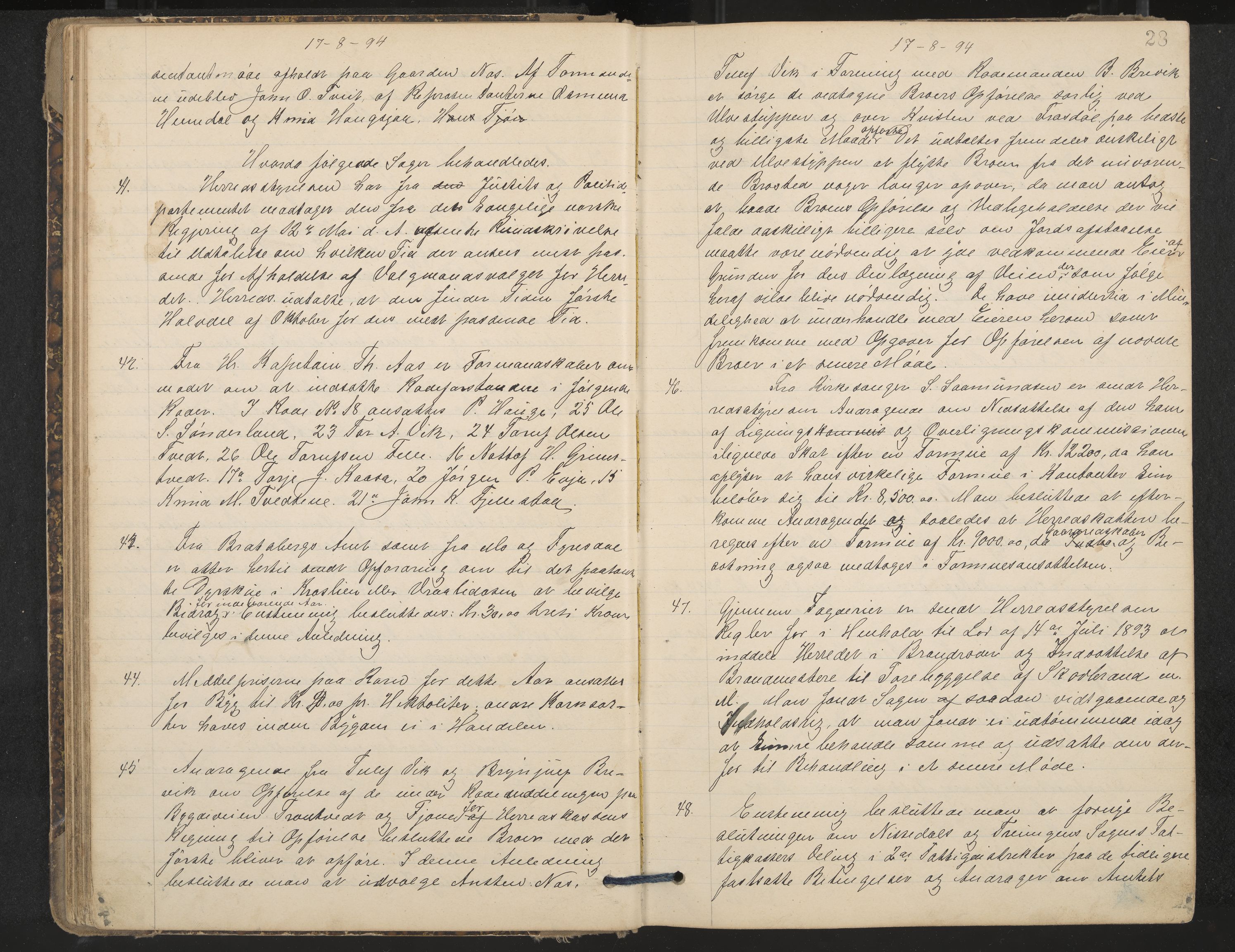 Nissedal formannskap og sentraladministrasjon, IKAK/0830021-1/A/L0003: Møtebok, 1892-1904, p. 28