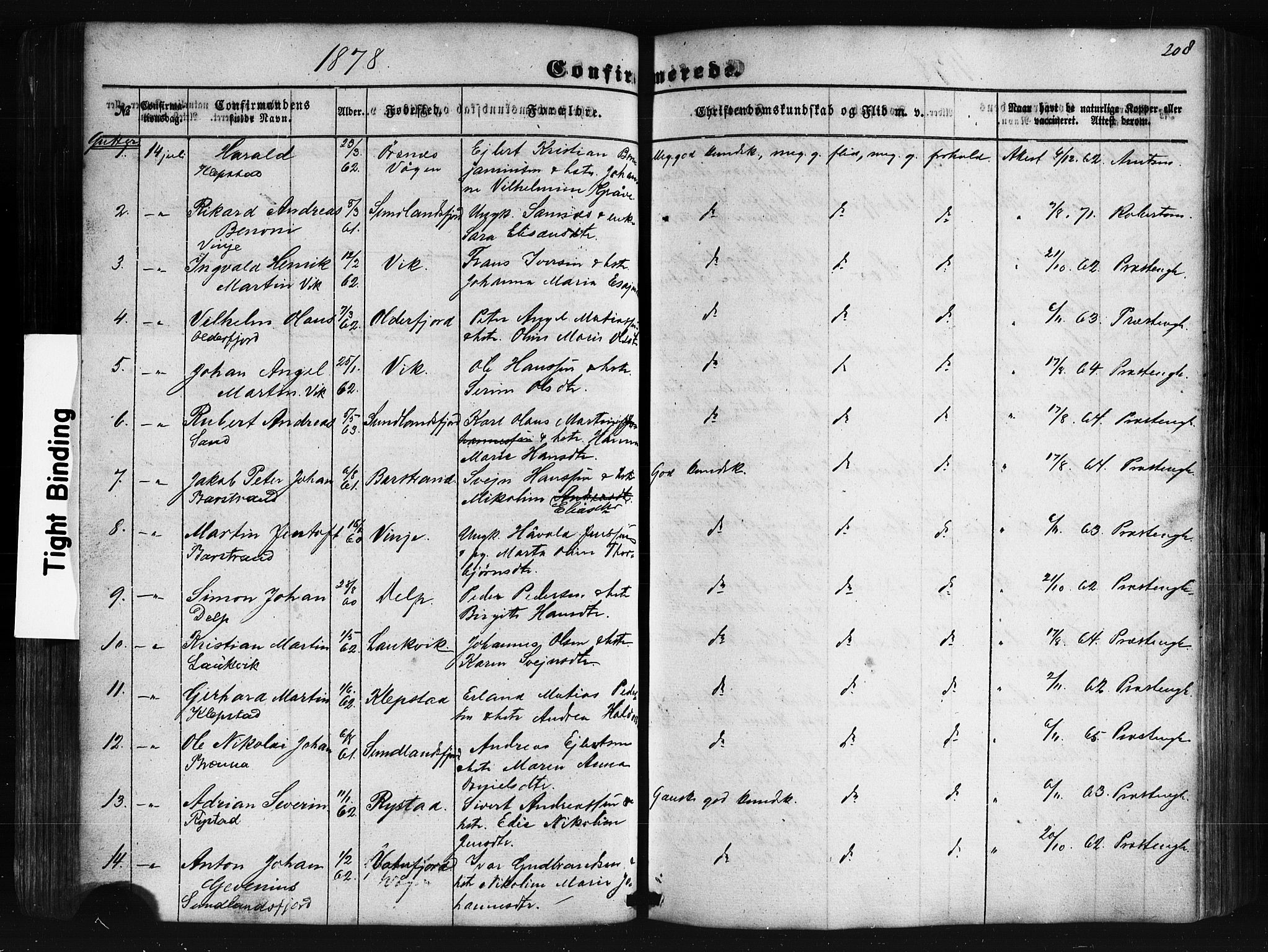Ministerialprotokoller, klokkerbøker og fødselsregistre - Nordland, SAT/A-1459/876/L1095: Parish register (official) no. 876A01, 1863-1885, p. 208