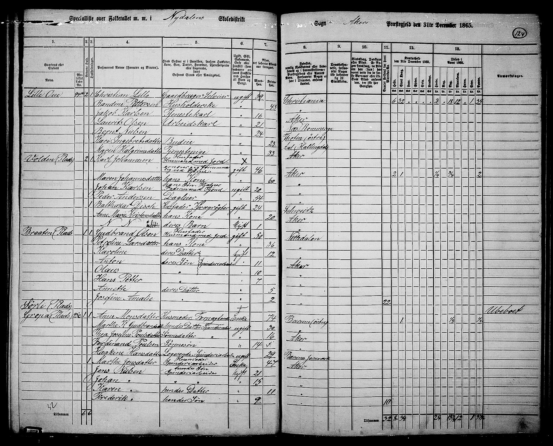 RA, 1865 census for Vestre Aker, 1865, p. 112