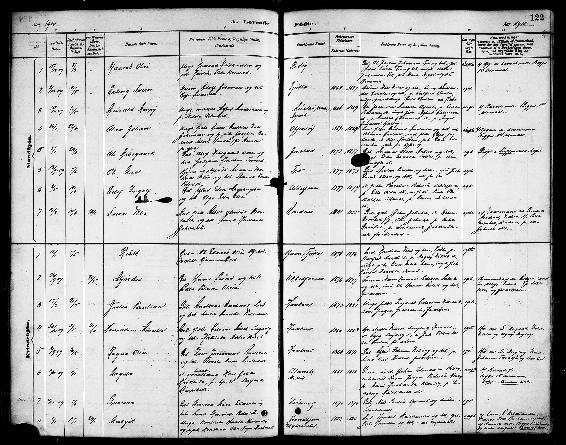 Ministerialprotokoller, klokkerbøker og fødselsregistre - Nordland, AV/SAT-A-1459/817/L0268: Parish register (copy) no. 817C03, 1884-1920, p. 122