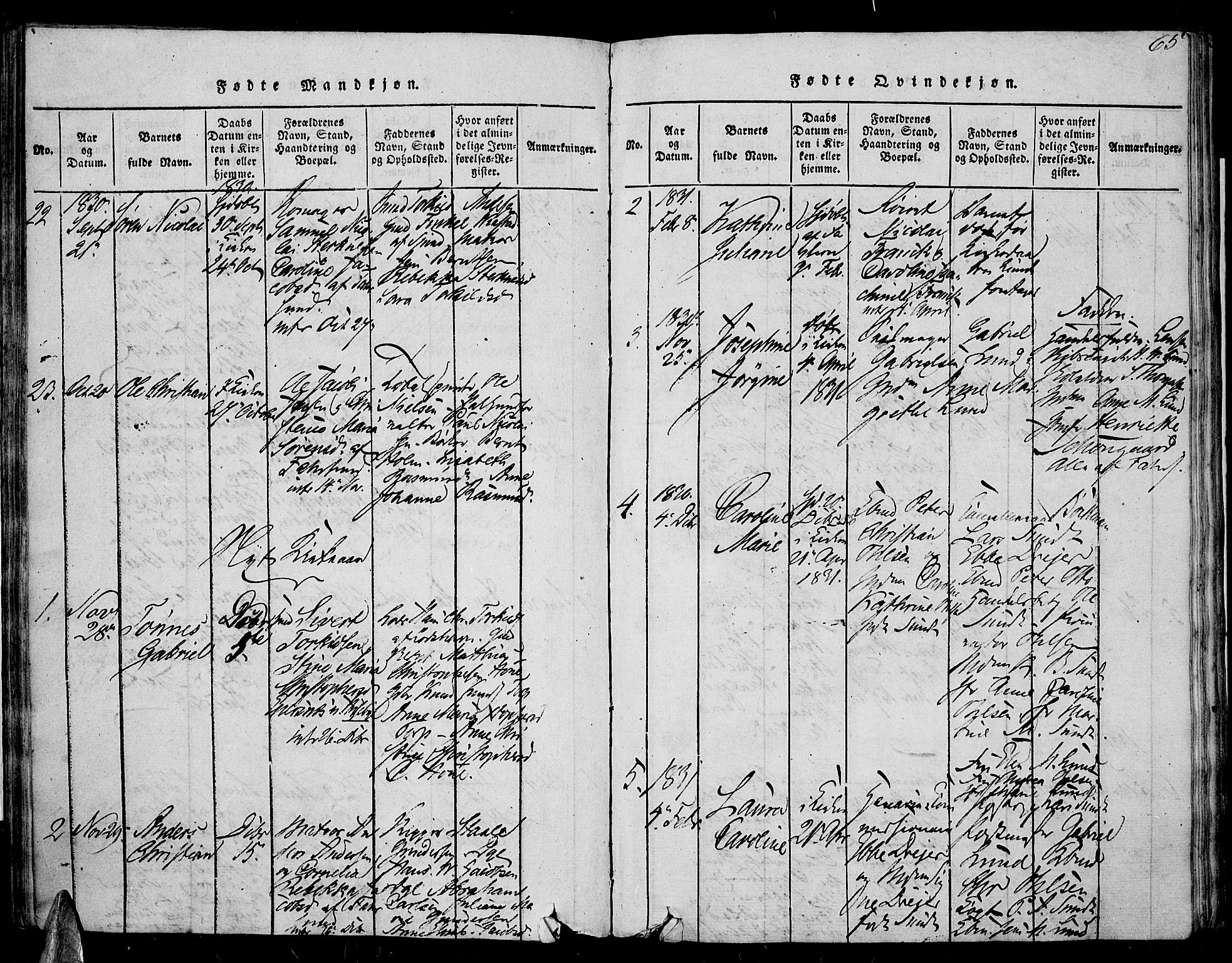 Farsund sokneprestkontor, SAK/1111-0009/F/Fa/L0002: Parish register (official) no. A 2, 1815-1836, p. 65