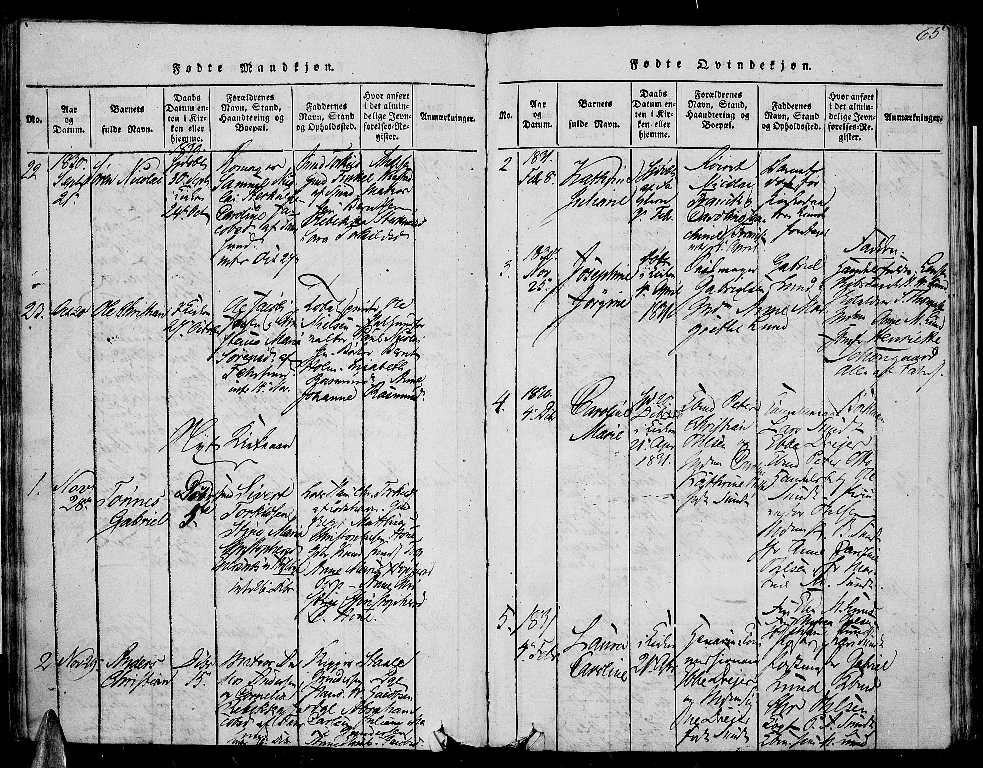 Farsund sokneprestkontor, AV/SAK-1111-0009/F/Fa/L0002: Parish register (official) no. A 2, 1815-1836, p. 65