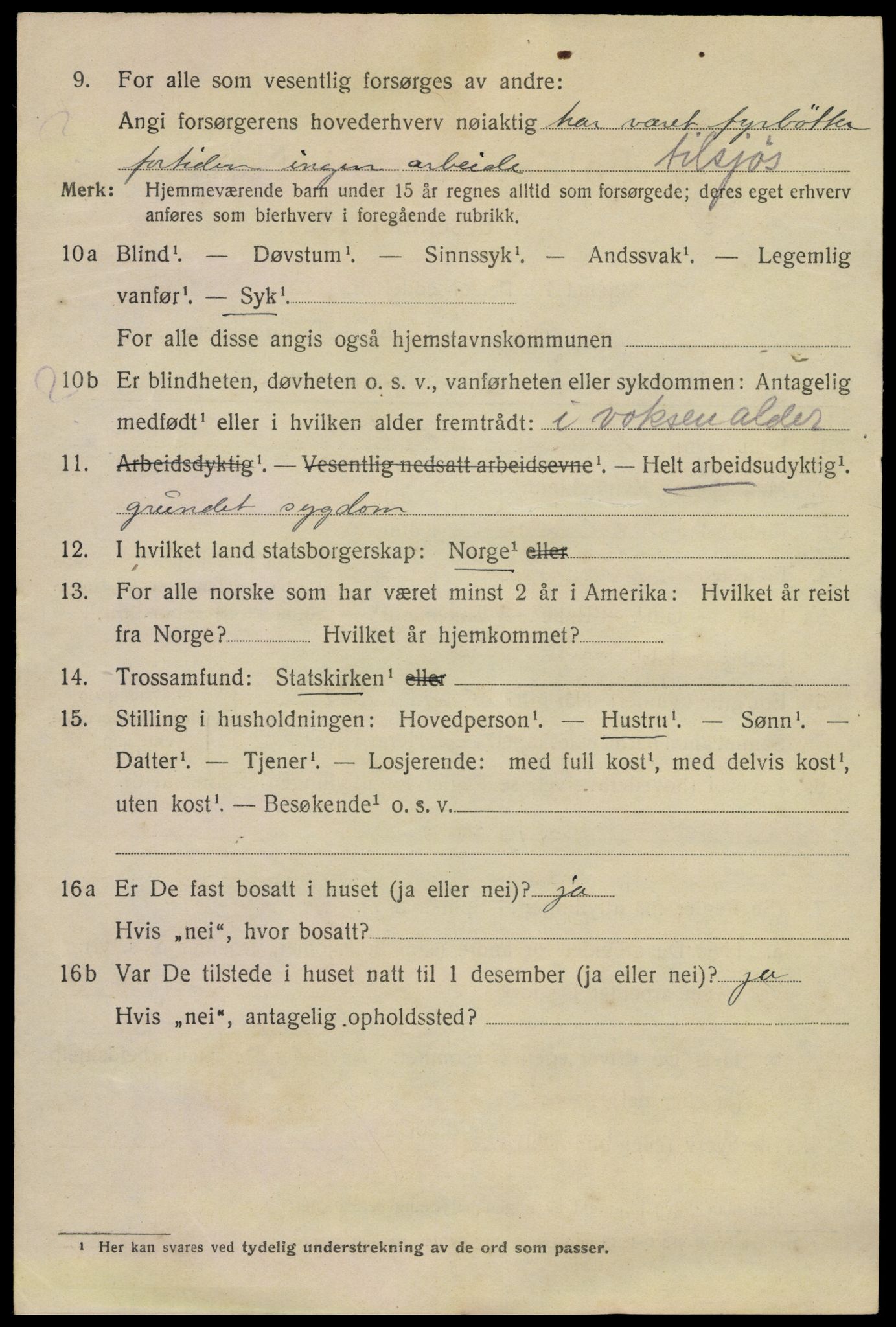 SAKO, 1920 census for Kragerø, 1920, p. 11978