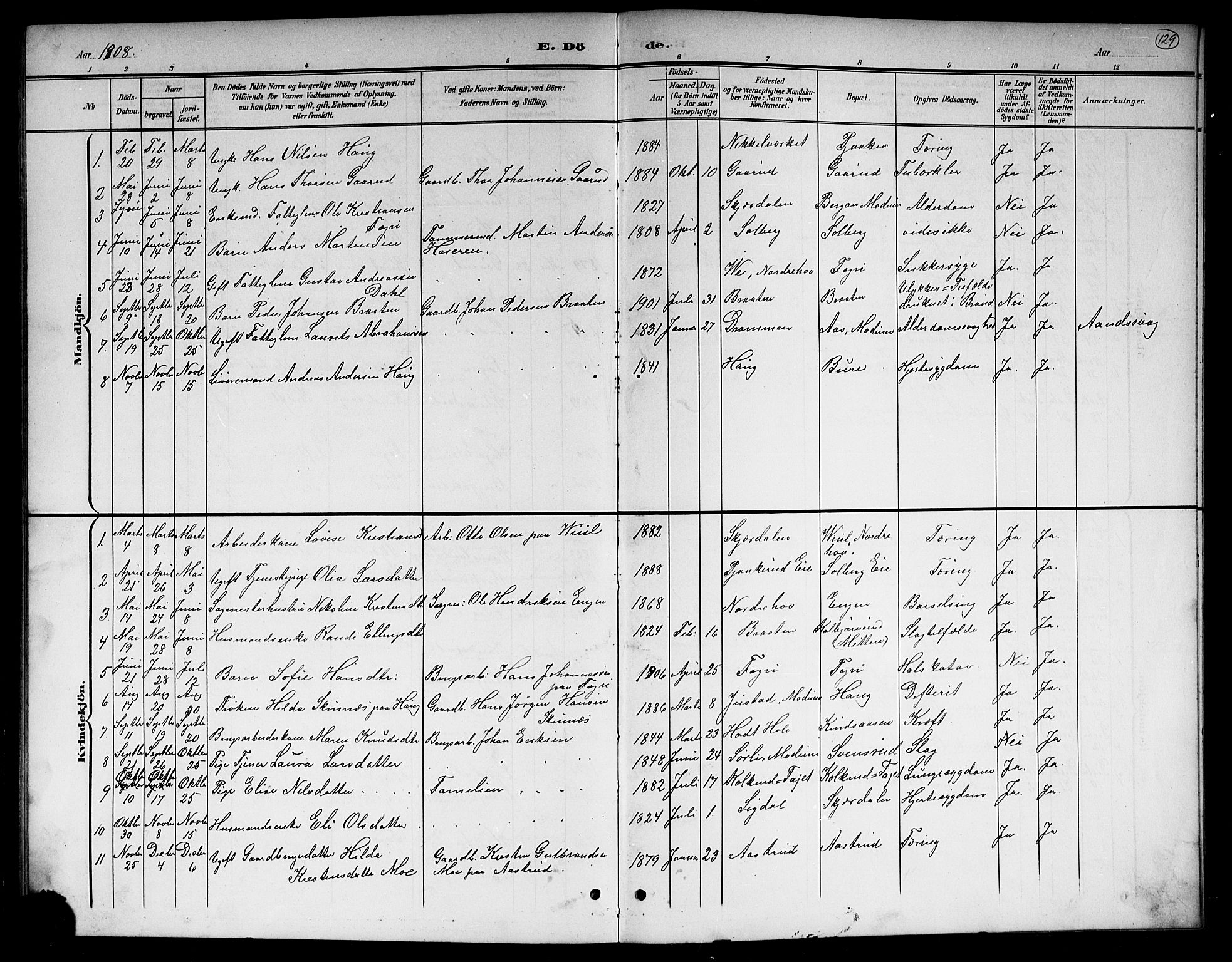 Hole kirkebøker, SAKO/A-228/G/Gb/L0004: Parish register (copy) no. II 4, 1901-1916, p. 129