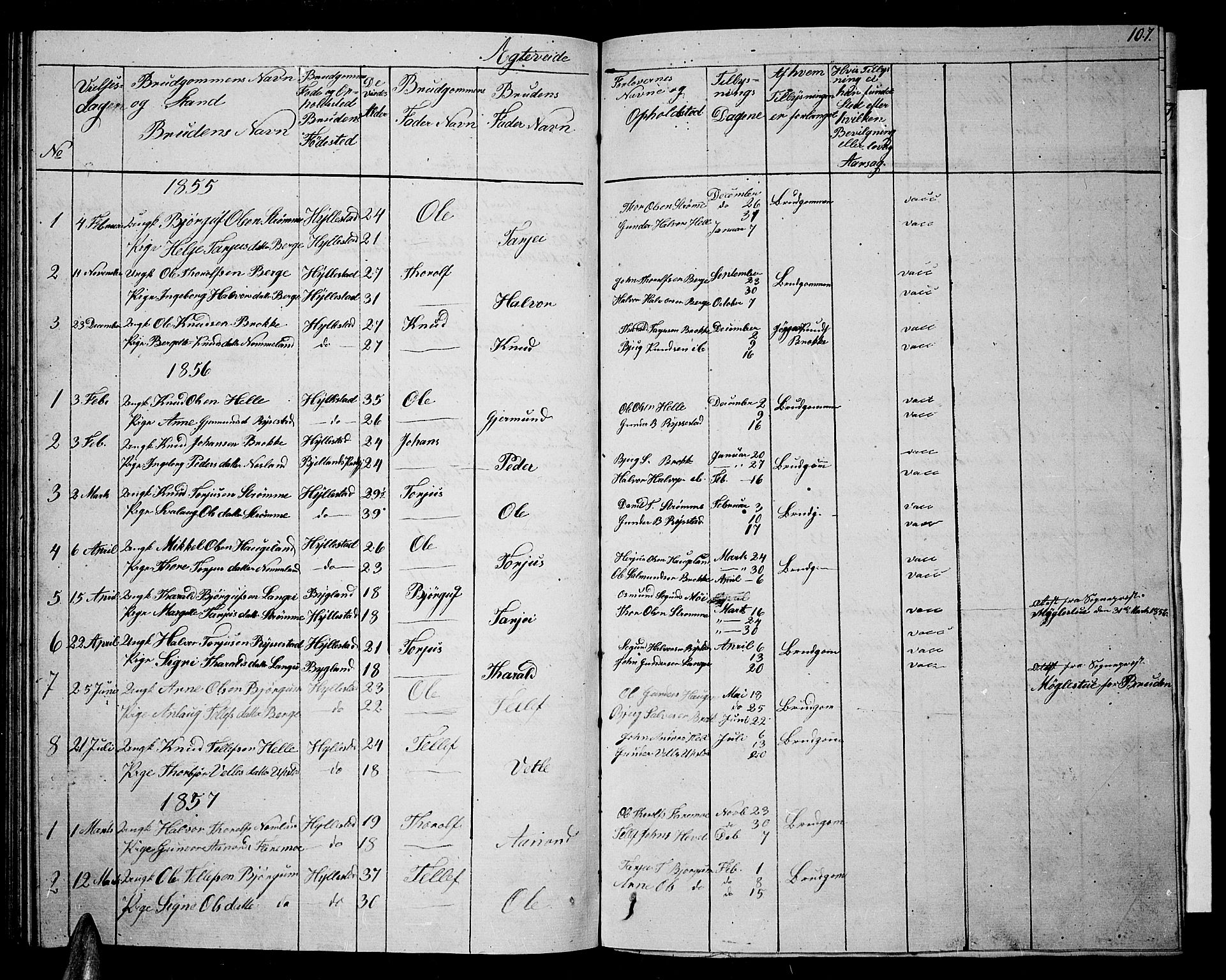 Valle sokneprestkontor, AV/SAK-1111-0044/F/Fb/Fbb/L0001: Parish register (copy) no. B 1, 1848-1875, p. 107