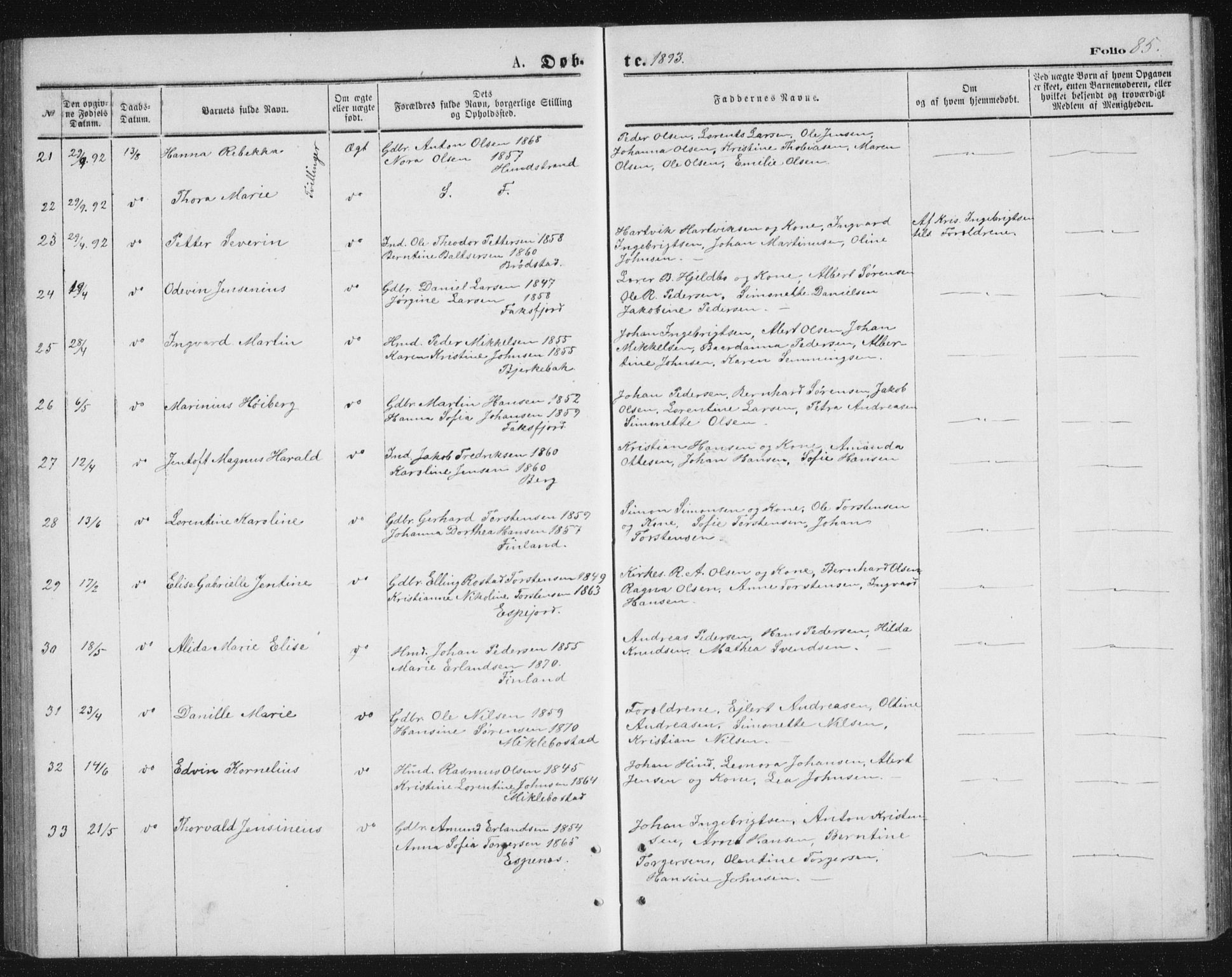 Tranøy sokneprestkontor, AV/SATØ-S-1313/I/Ia/Iab/L0013klokker: Parish register (copy) no. 13, 1874-1896, p. 85