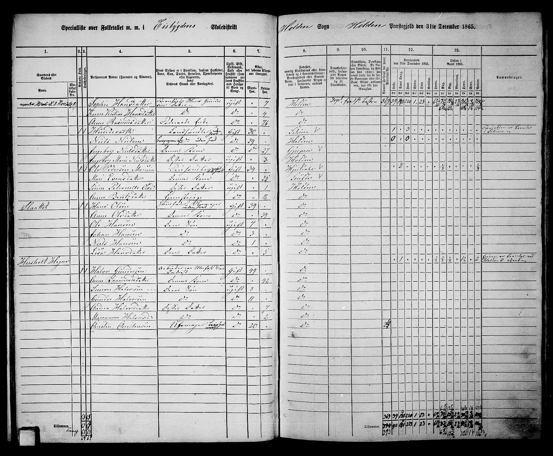 RA, 1865 census for Holla, 1865, p. 26