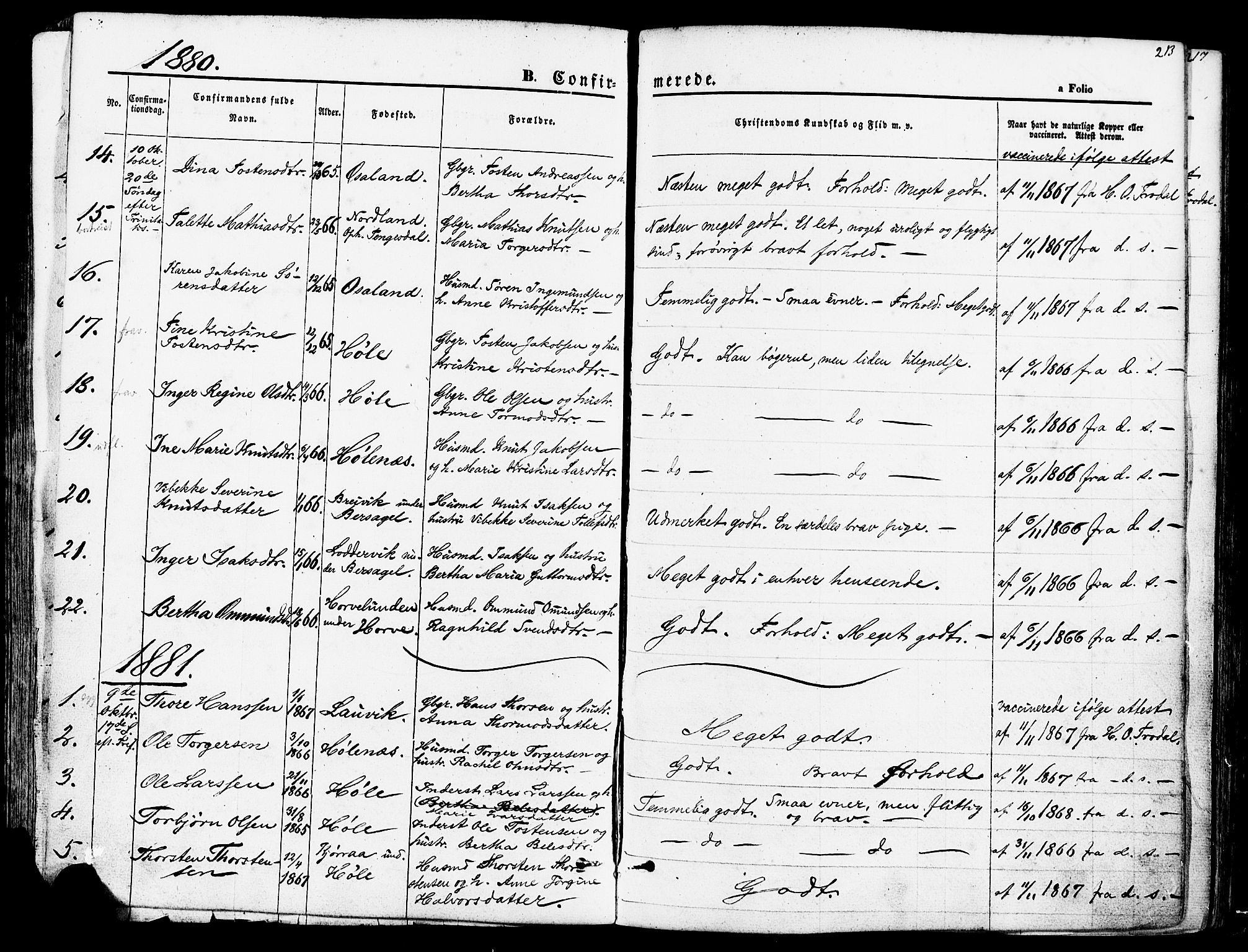 Høgsfjord sokneprestkontor, SAST/A-101624/H/Ha/Haa/L0002: Parish register (official) no. A 2, 1855-1885, p. 213